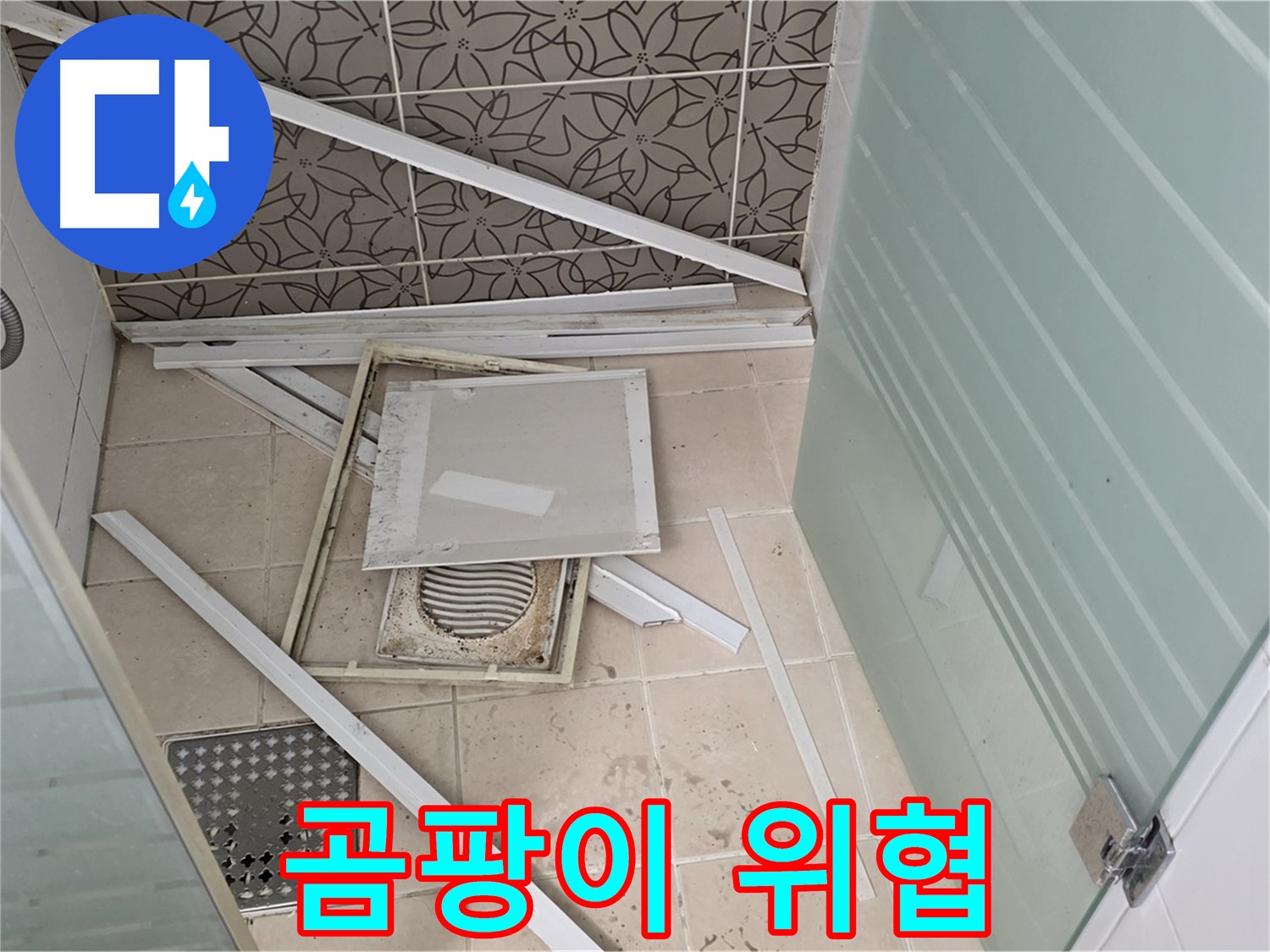 양주 백석 서광아파트 누수 - 곰팡이, 건강을 위협하는 적
