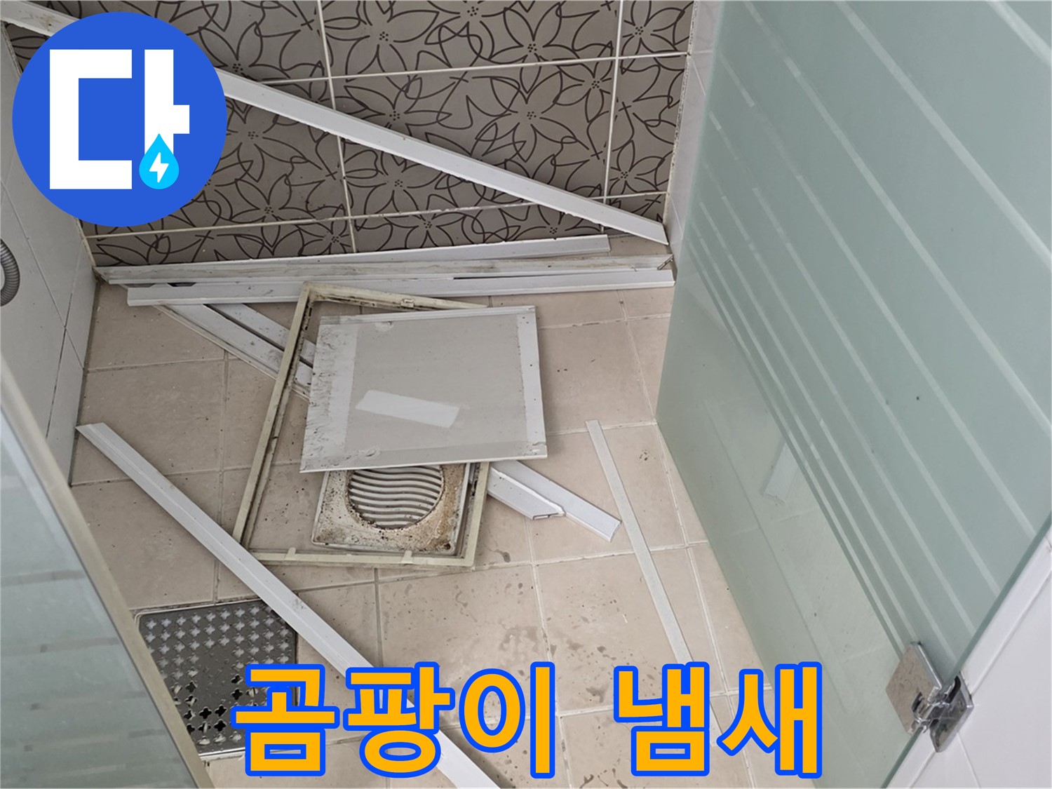 양주 백석 서광아파트 누수 - 욕실 천장, 곰팡이 냄새가 진동