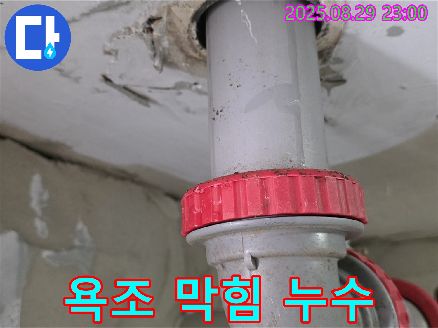 양주 백석 서광아파트 누수 - 윗집 욕조 배수구 막힘으로 인한 하수 배관 누수