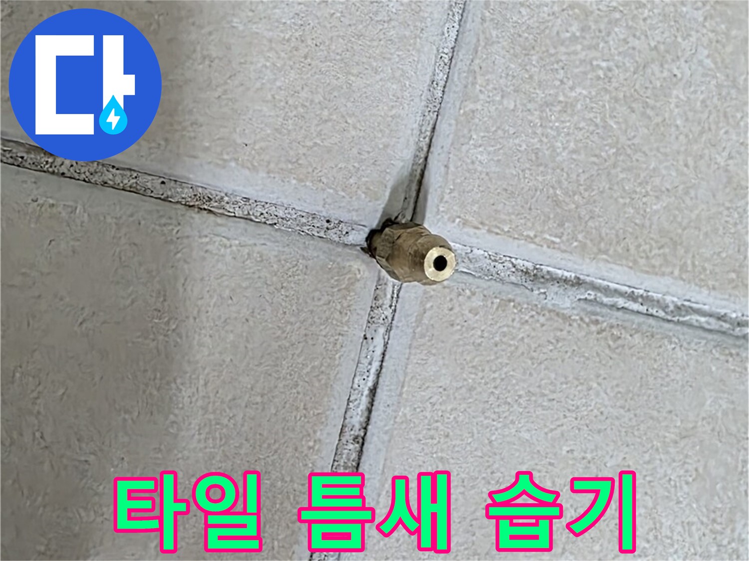 양주 백석 서광아파트 누수 - 타일 틈새의 습기는 누수의 초기 증상일 수 있습니다.