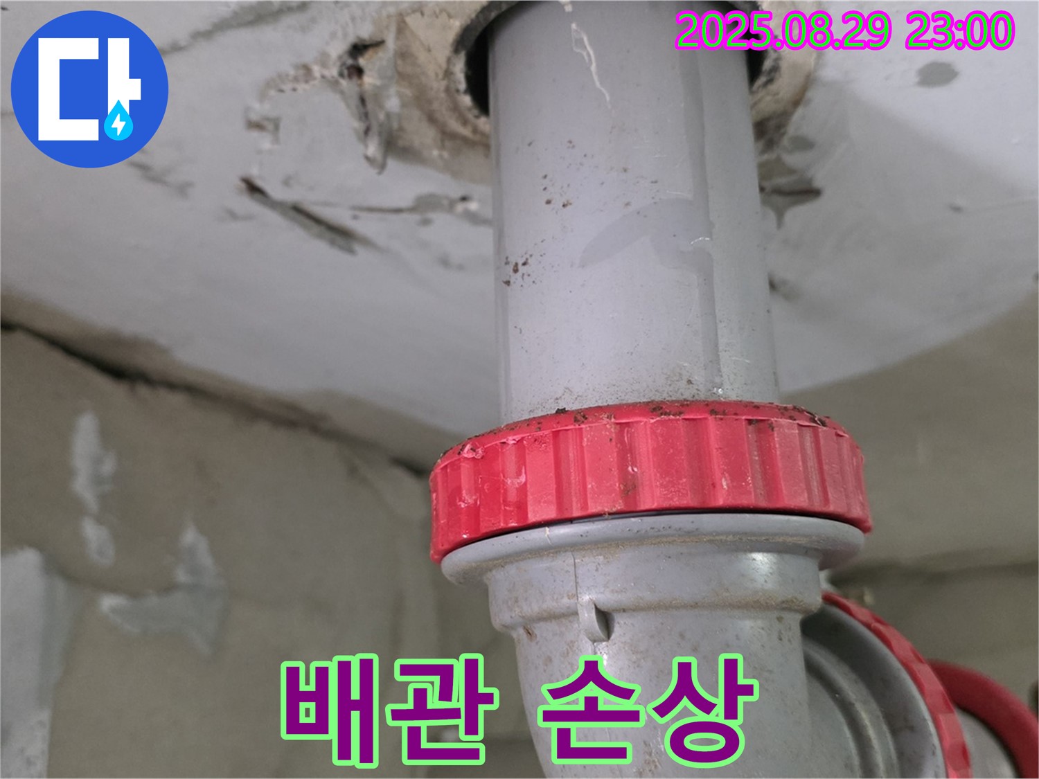 양주 백석 서광아파트 누수 - 하수 배관 연결 부위 손상으로 인한 누수