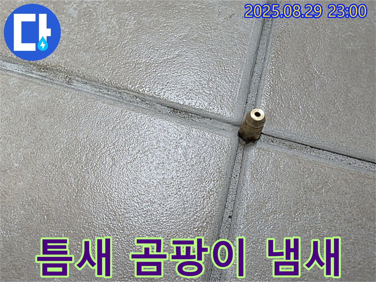 양주 백석 서광아파트 누수탐지 - 압력 주입구 주변 타일 틈새에서 곰팡이 냄새가 나는지 확인하고 있습니다.