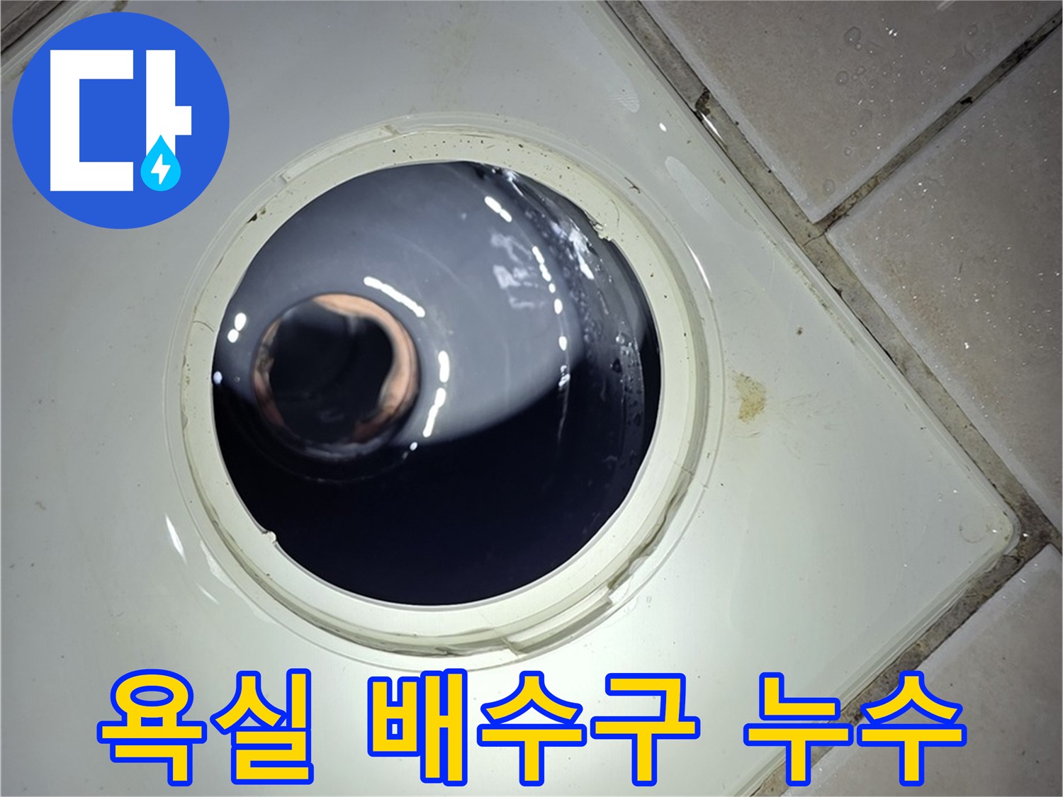 양주 백석 서광아파트 욕실 배수구 주변 누수 - 누수 원인 탐지 및 해결 과정