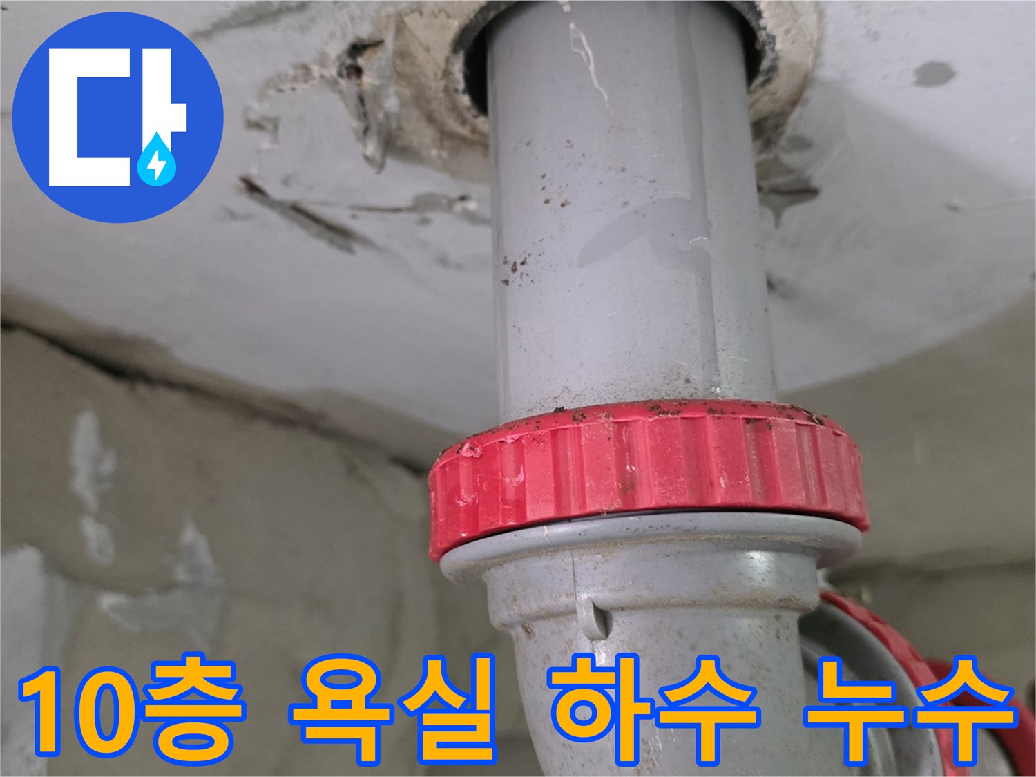 양주 백석읍 서광아파트 10층 욕실 하수 배관 누수 - 붉은색 잠금 너트 부위 집중 점검