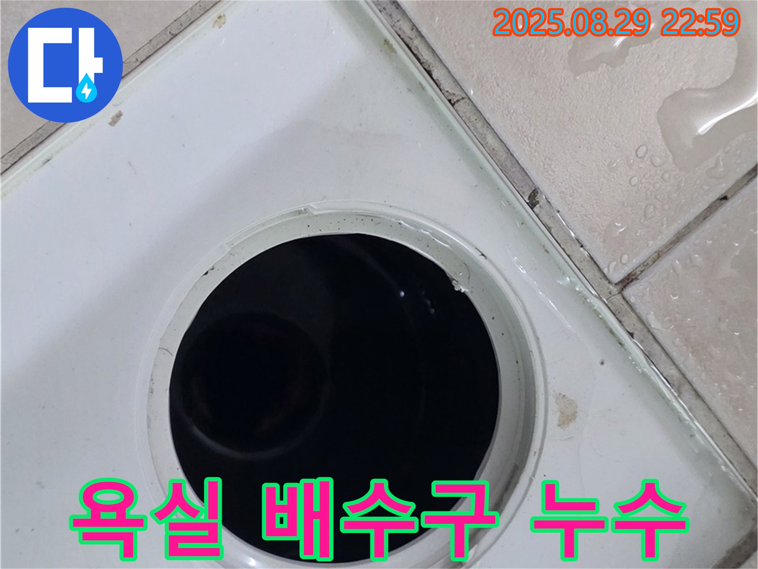양주시 백석읍 서광아파트 104동 욕실 배수구 주변 누수 - 배수구 주변의 물 자국과 젖은 타일을 통해 누수 위치를 확인하고 있습니다.