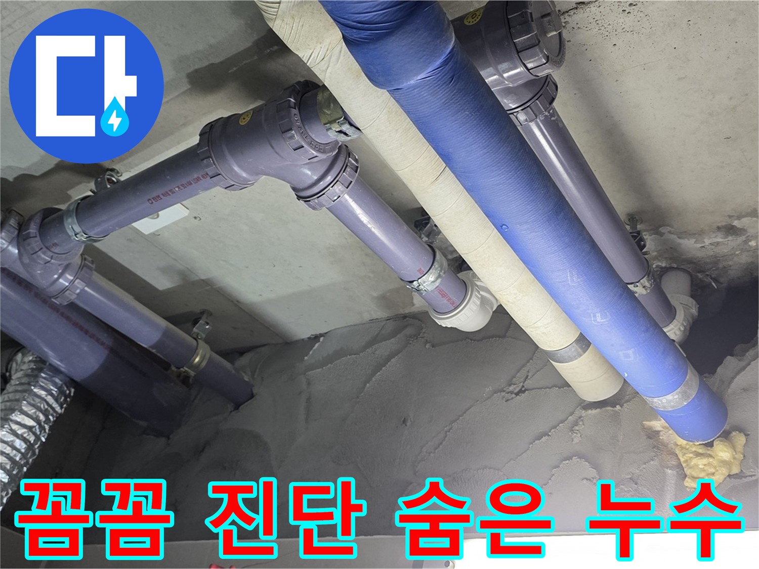분당 누수 - 꼼꼼한 진단으로 숨어있는 누수까지 완벽하게 탐지