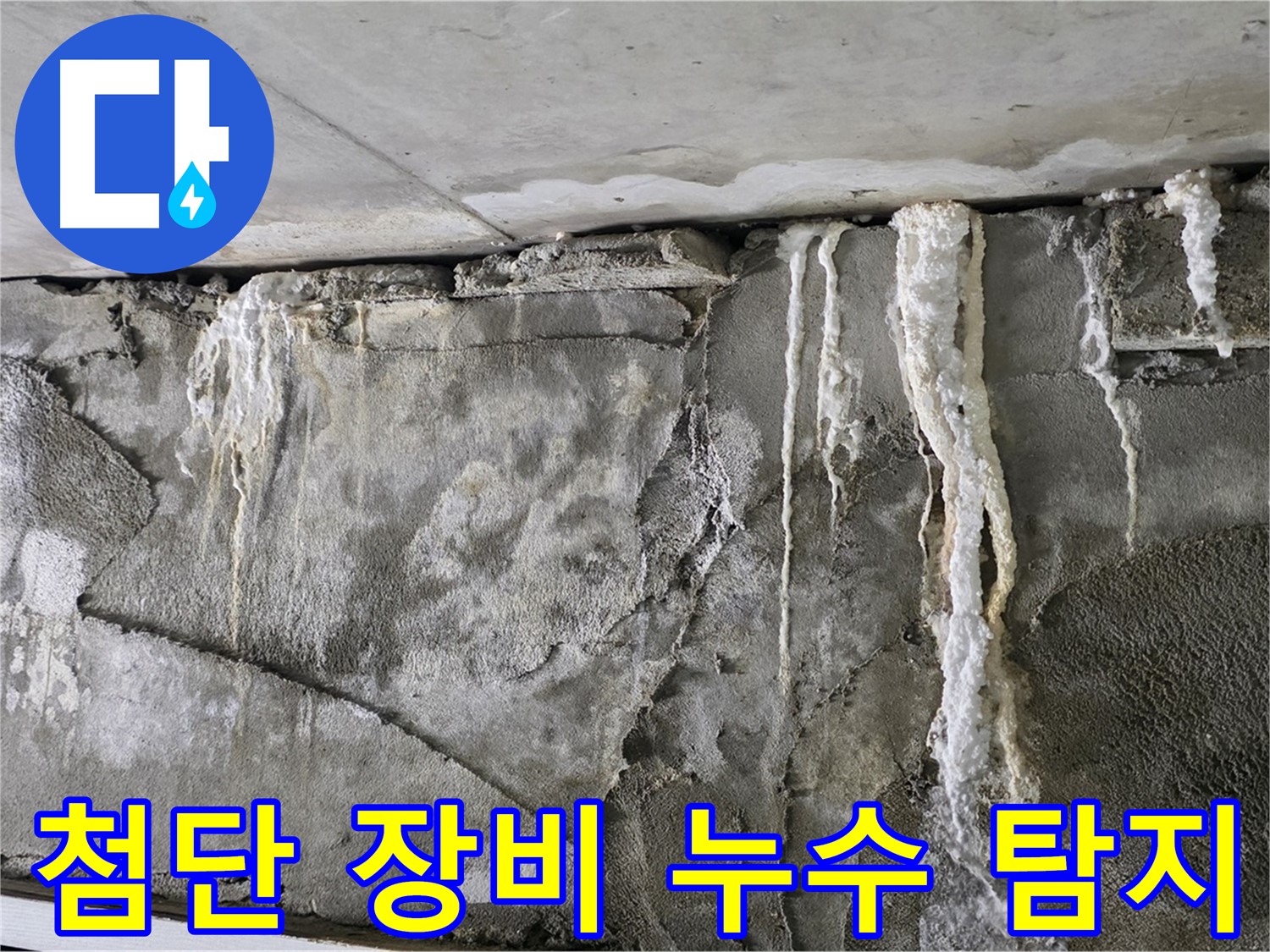 분당 누수 탐지 - 첨단 장비로 숨은 누수 격파