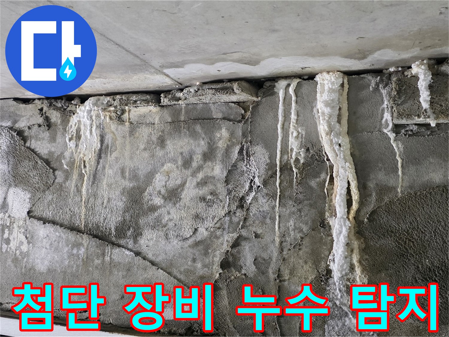 분당 누수 탐지 - 첨단 장비로 숨은 누수 격파
