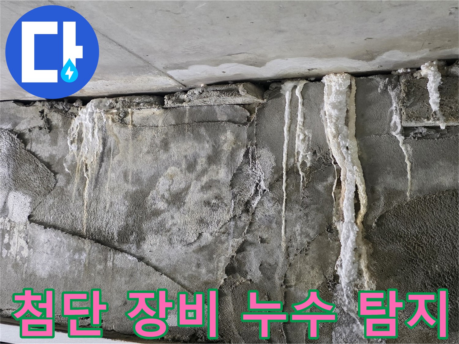 분당 누수 탐지 - 첨단 장비로 숨은 누수 완벽 해결