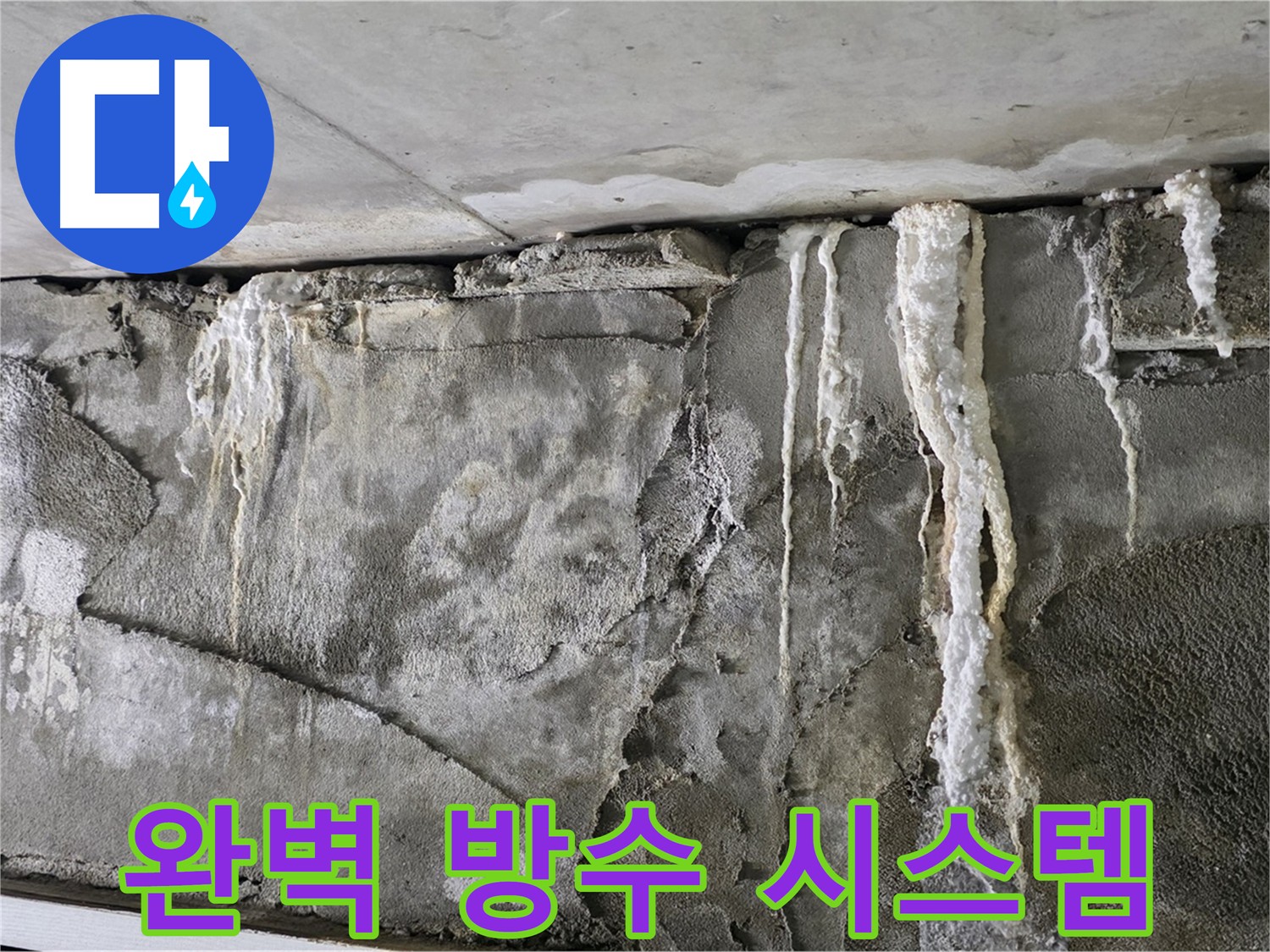 운중동 누수 공사 현장 - 완벽한 방수 시스템 구축으로 누수 문제 해결