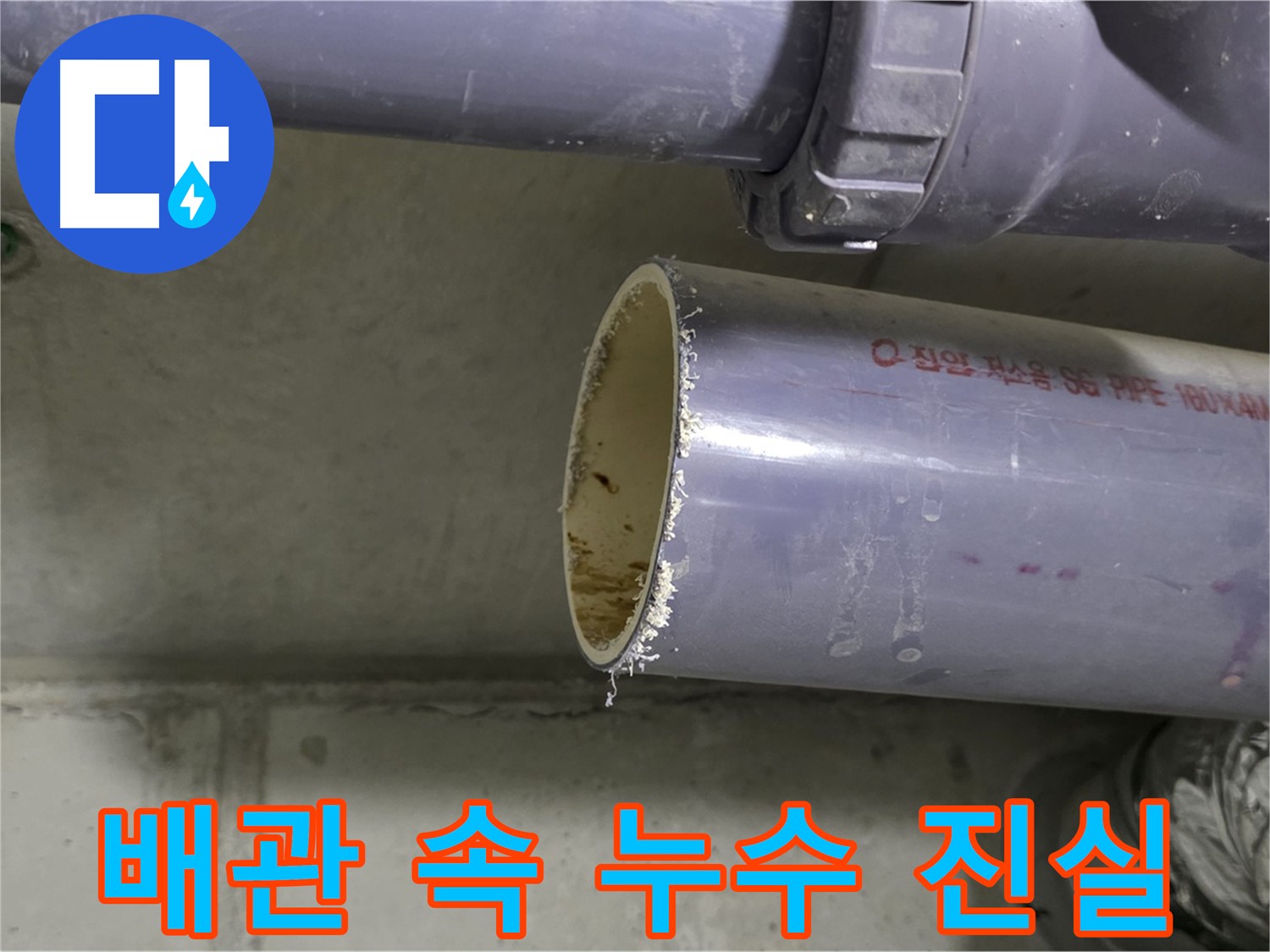 분당구 운중동 누수 현장 - 절단된 배관 내부를 통해 누수의 원인을 파악하는 사진