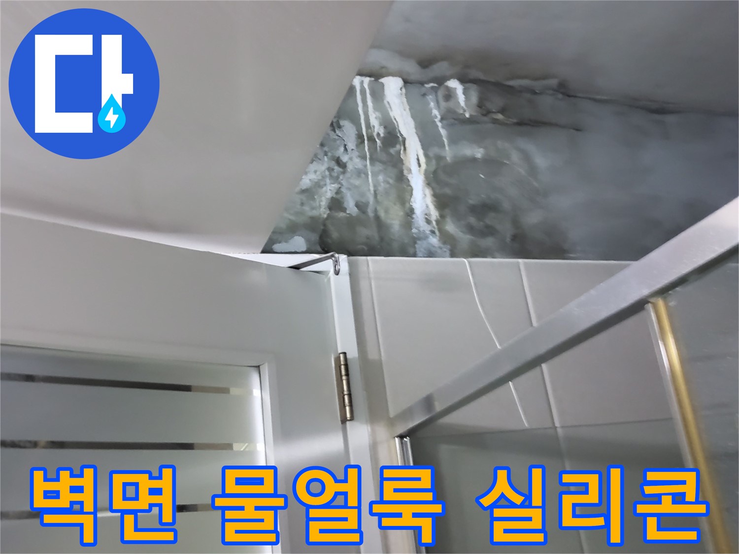 분당 산운로 121 아파트 샤워부스 벽면 심각한 물얼룩 및 실리콘 손상 집중 확인 - 누수 원인 진단