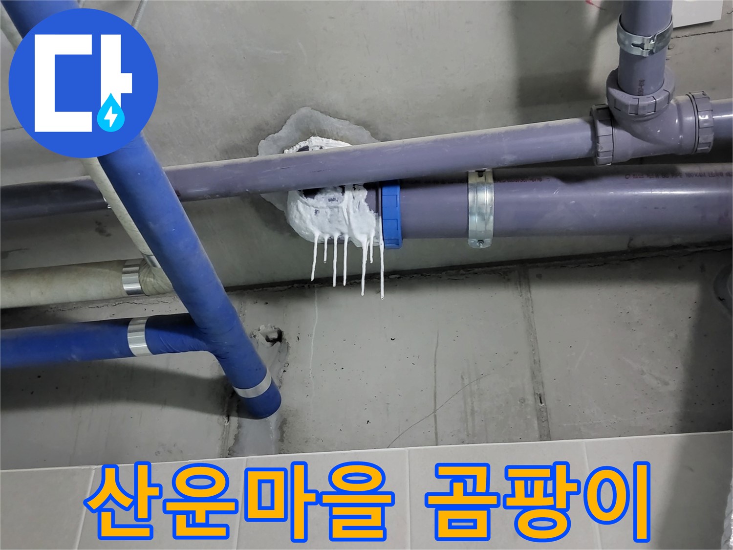 분당 산운마을 하수 누수 - 곰팡이 냄새와 습기로 인한 악취