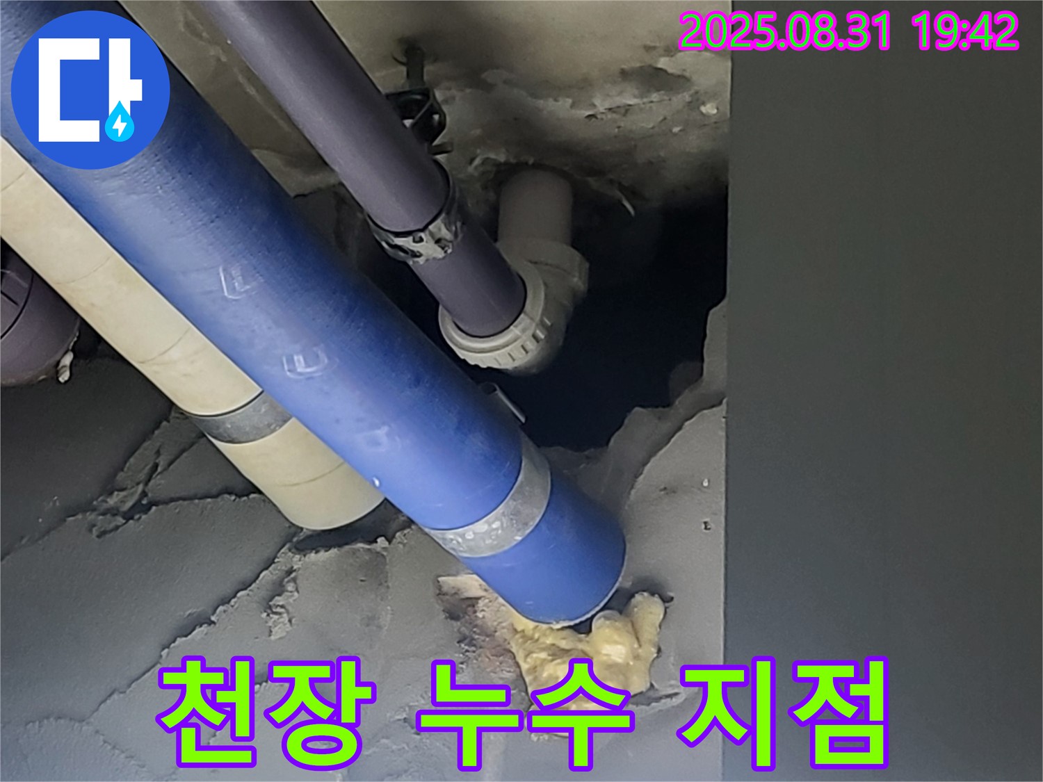 분당 운중동 산운로 주택 천장 누수 지점 - 누수 해결 전문 업체에서 정확하게 찾아냅니다.