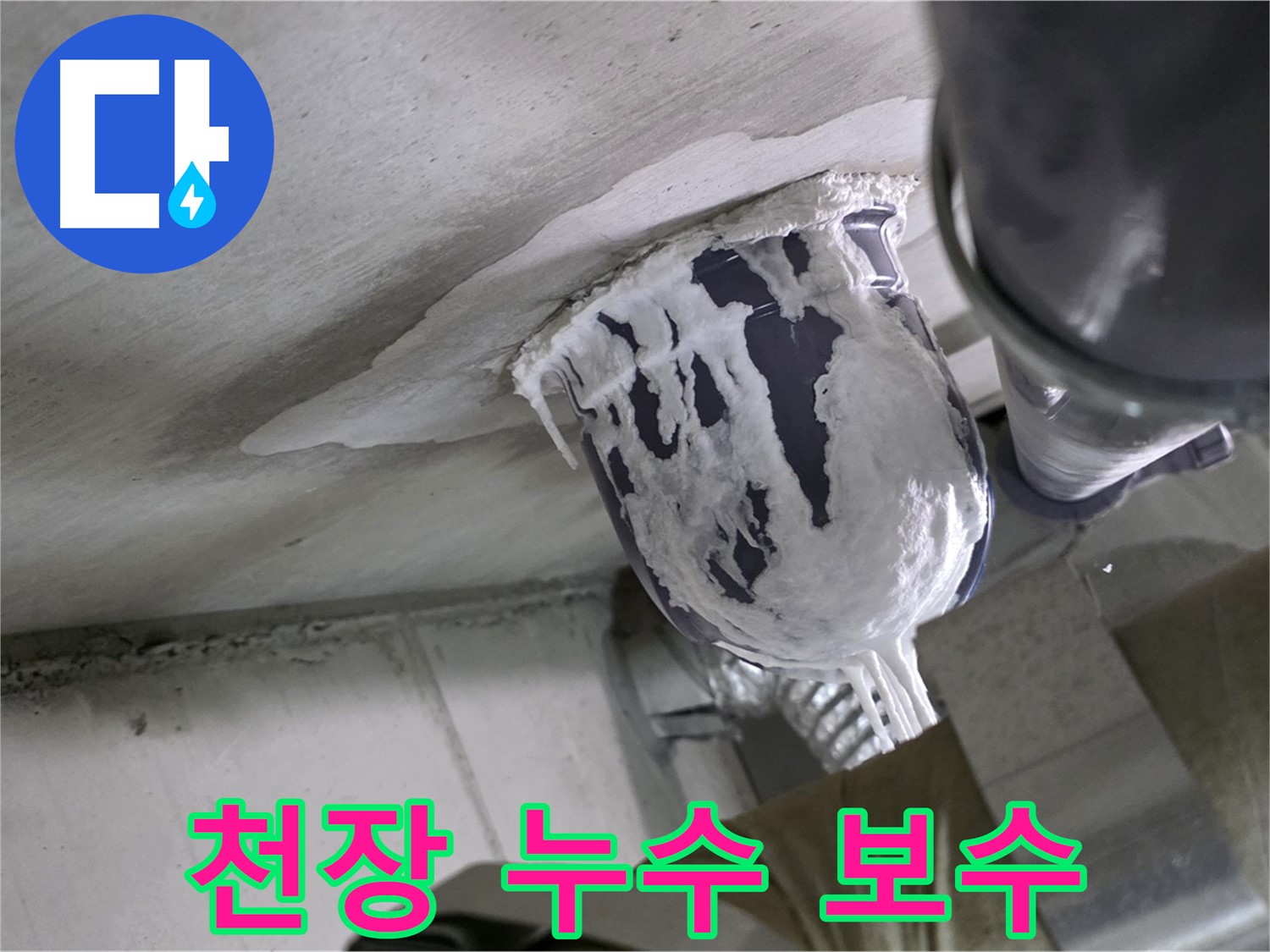 분당 운중동 산운마을 6단지 천장 누수 발생 - 누수 원인 탐지 후 신속하게 보수 완료