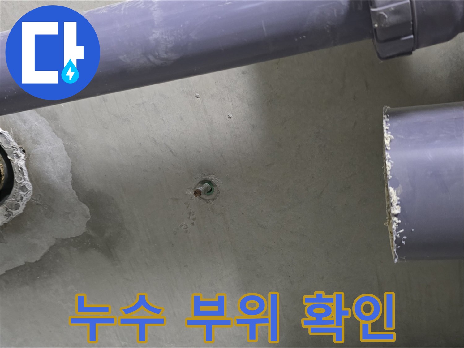 분당 운중동 산운마을 누수 현장에서 누수 부위를 확인하는 사진입니다 - 전문 장비를 사용한 정확한 탐지와 신속한 보수 과정을 보여줍니다.