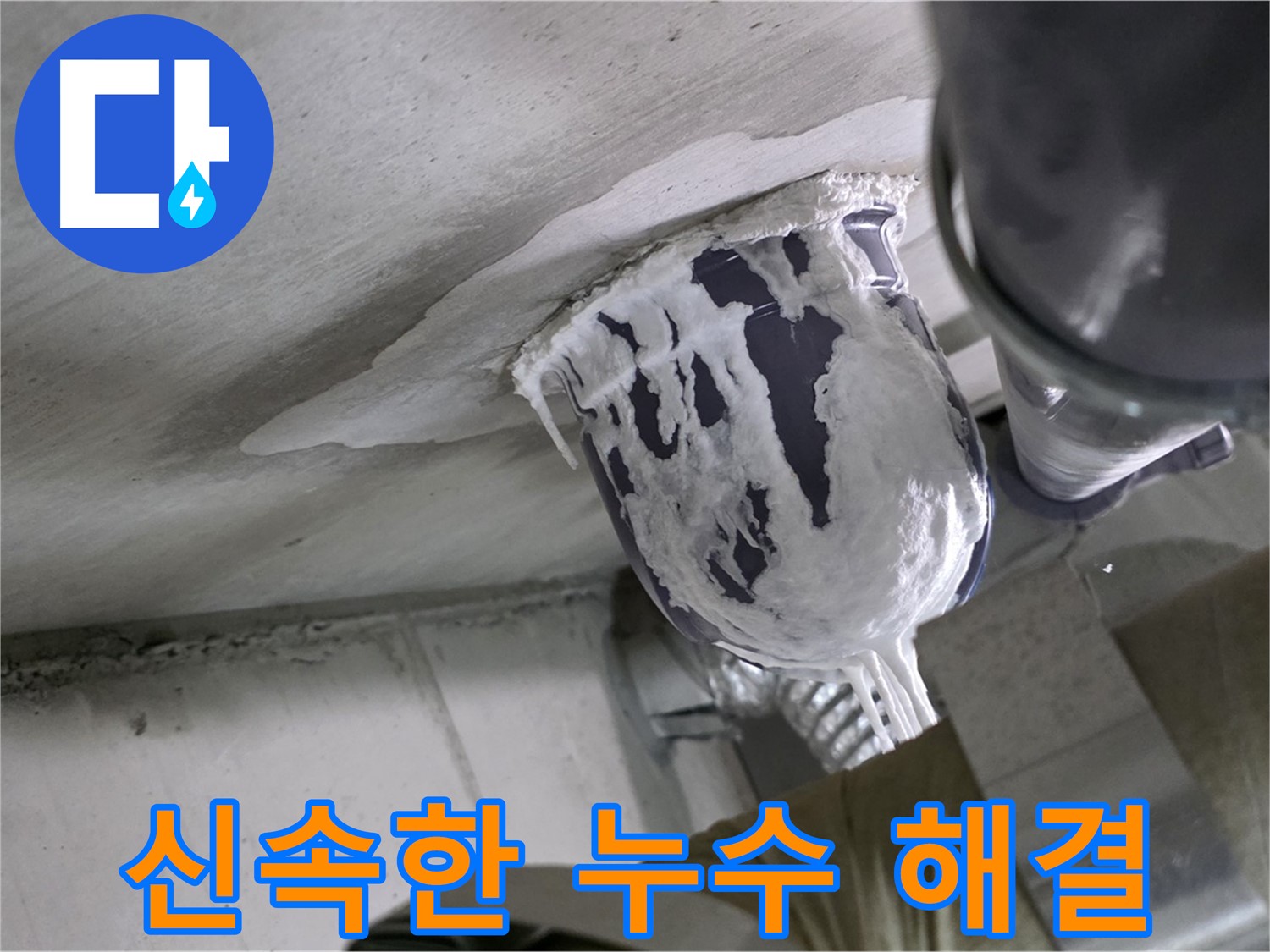 분당 운중동 산운마을 - 신속한 누수 해결로 고객 불편 최소화