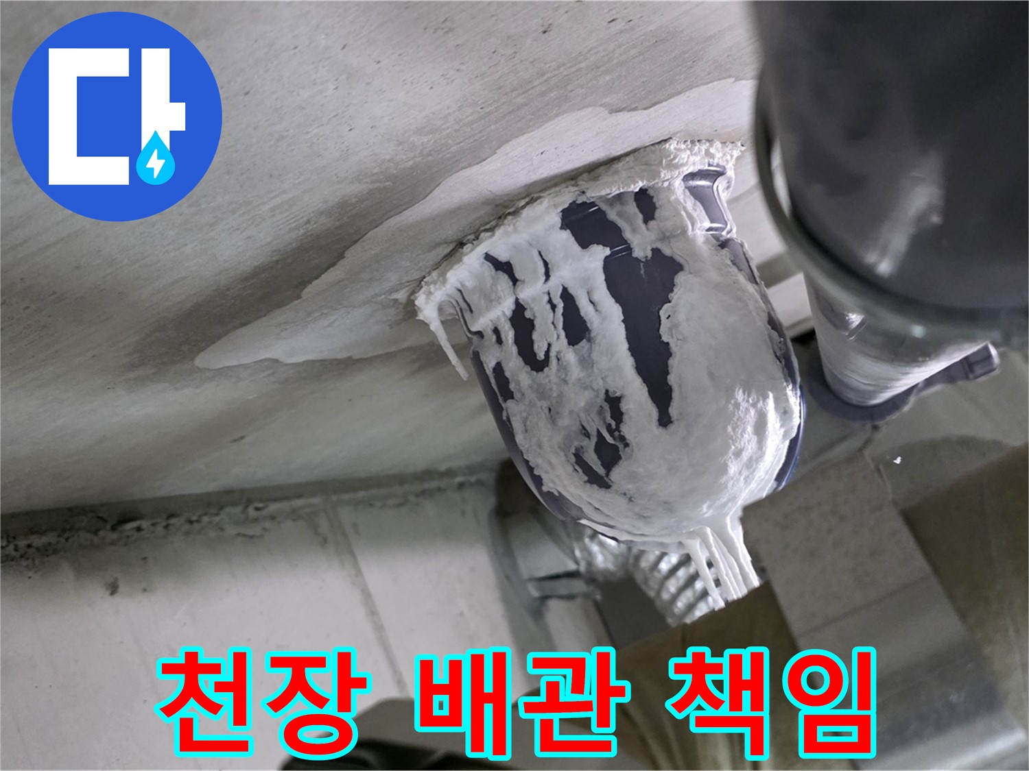 분당 운중동 산운마을 - 천장 배관 누수, 완벽 차단 책임 시공 완료