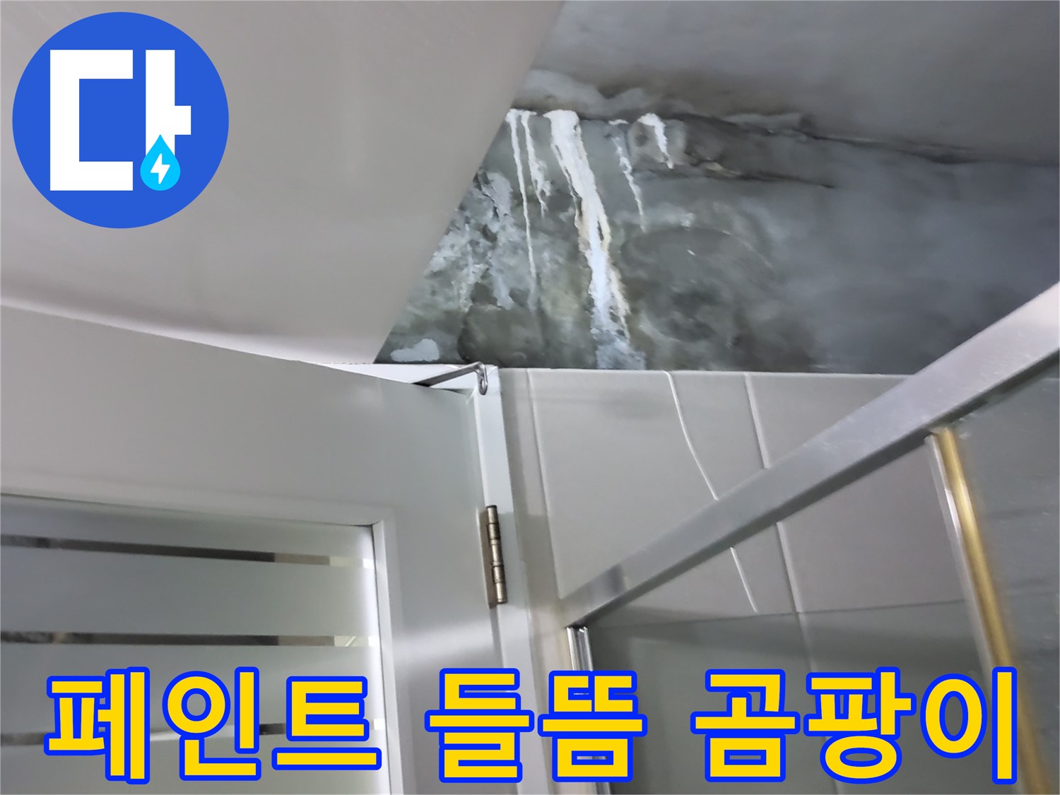 분당 운중동 샤워부스 주변 벽면 페인트 심한 들뜸 및 곰팡이 발생 - 정확한 진단 과정