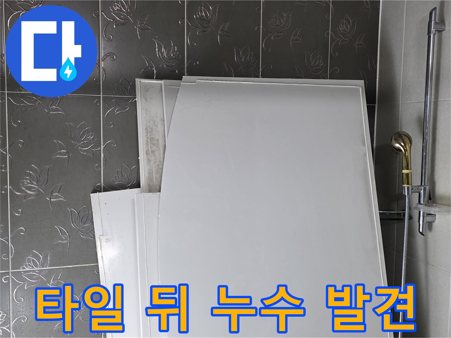 분당 운중동 욕실 - 타일 뒤에 숨어있던 벽면 누수 발견 - 꼼꼼한 탐지가 중요