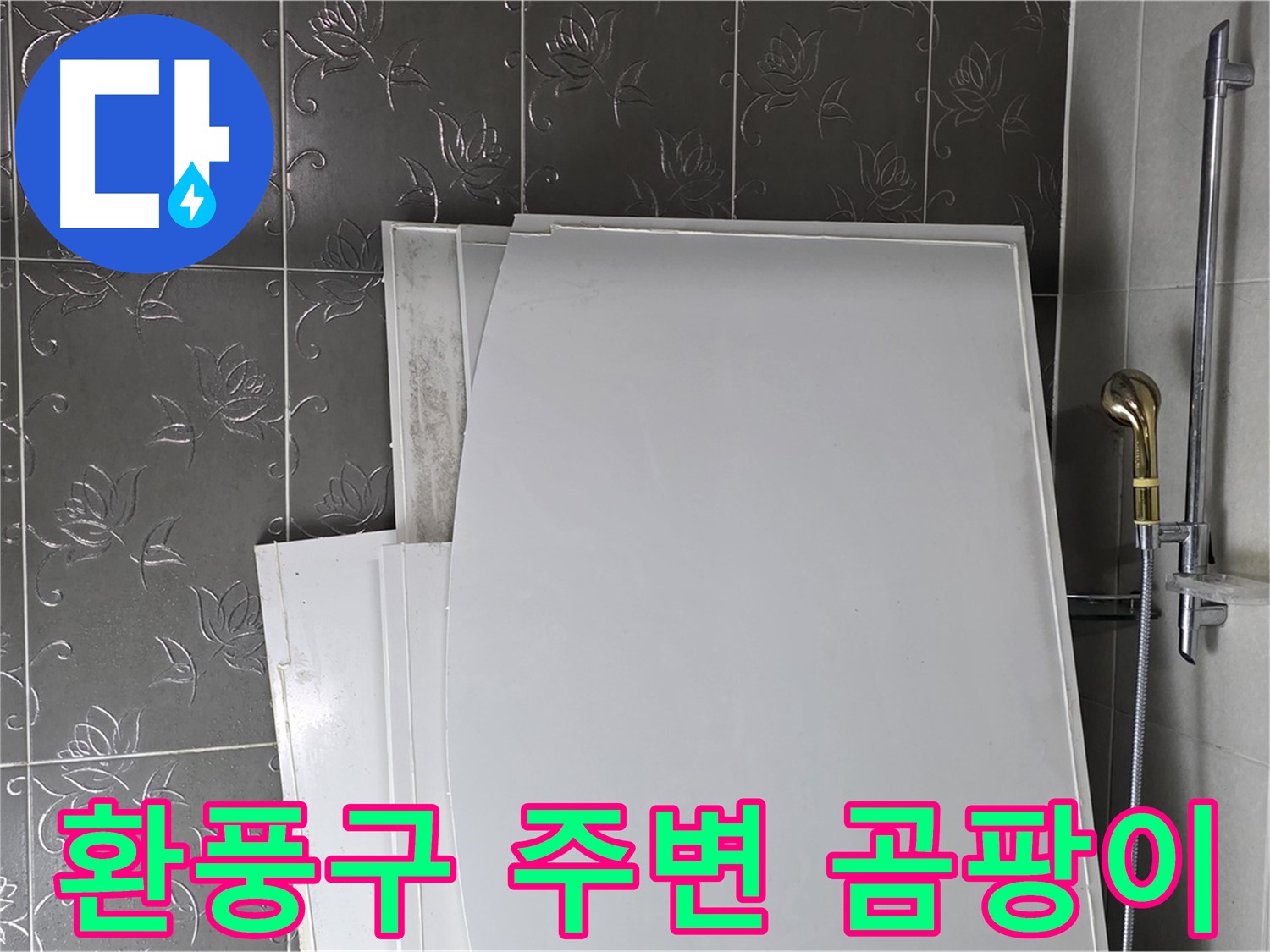 분당 운중동 욕실 - 환풍구 주변 곰팡이, 누수가 원인일 수 있어요 - 꼼꼼한 점검