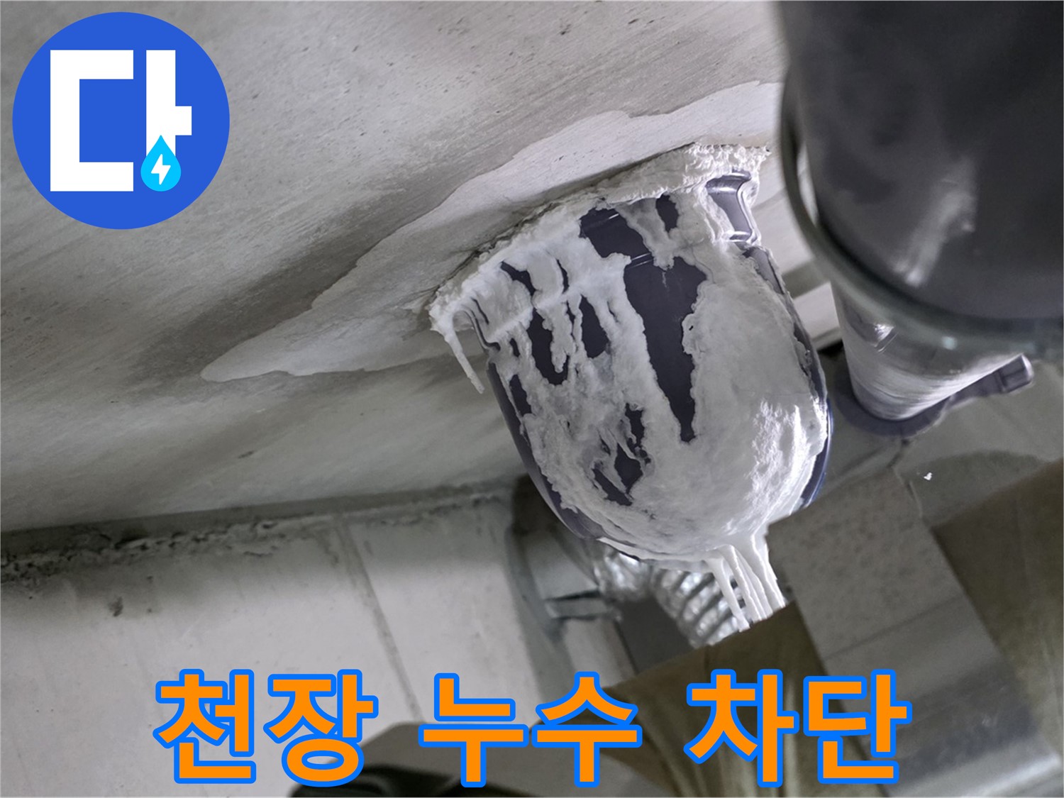 분당 운중동 천장 누수 - 완벽 차단 및 재발 방지 시공 완료
