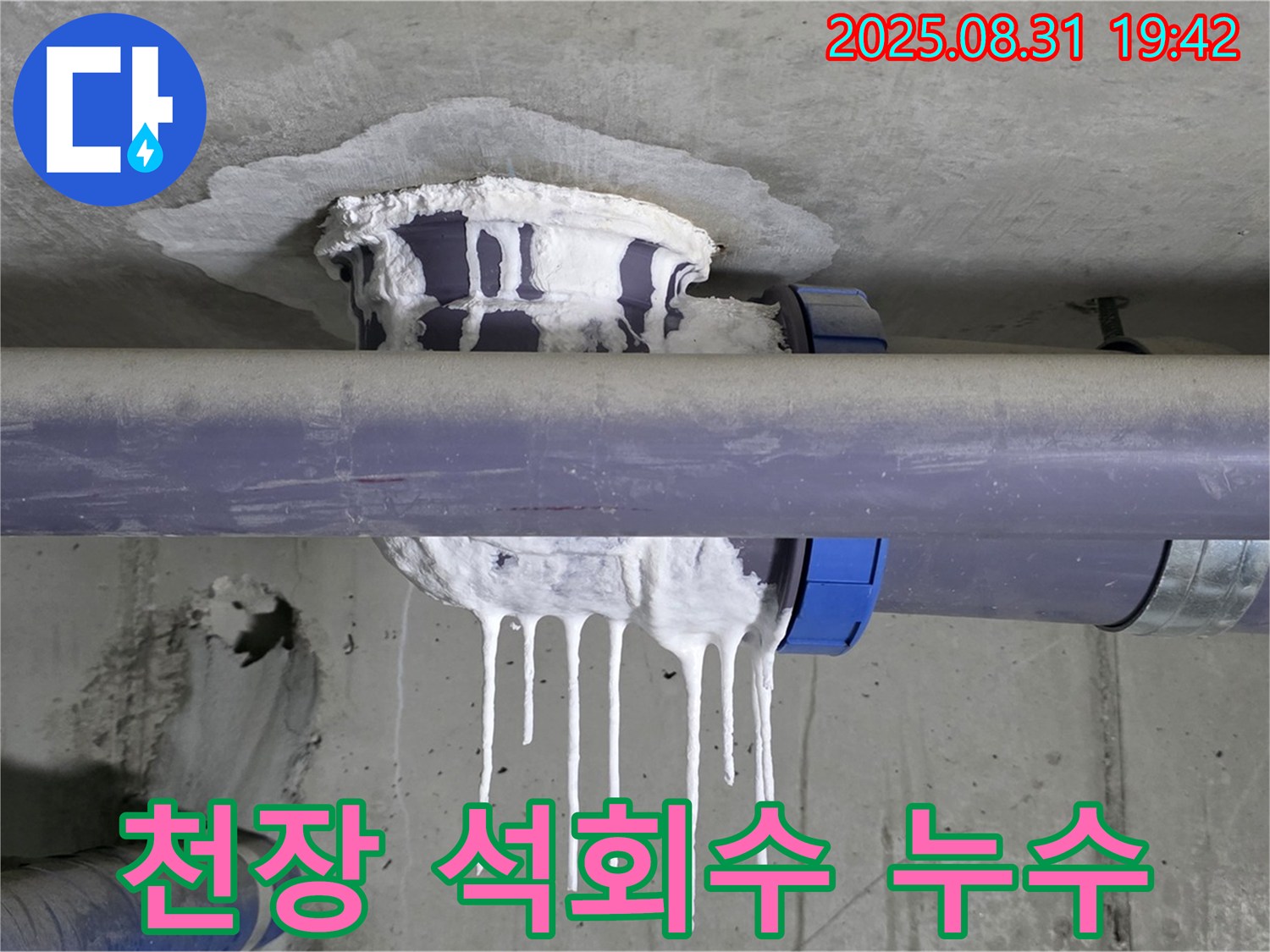 분당구 운중동 산운마을 누수 - 천장에서 석회수가 흘러내려 고드름처럼 굳은 모습 - 긴급 해결