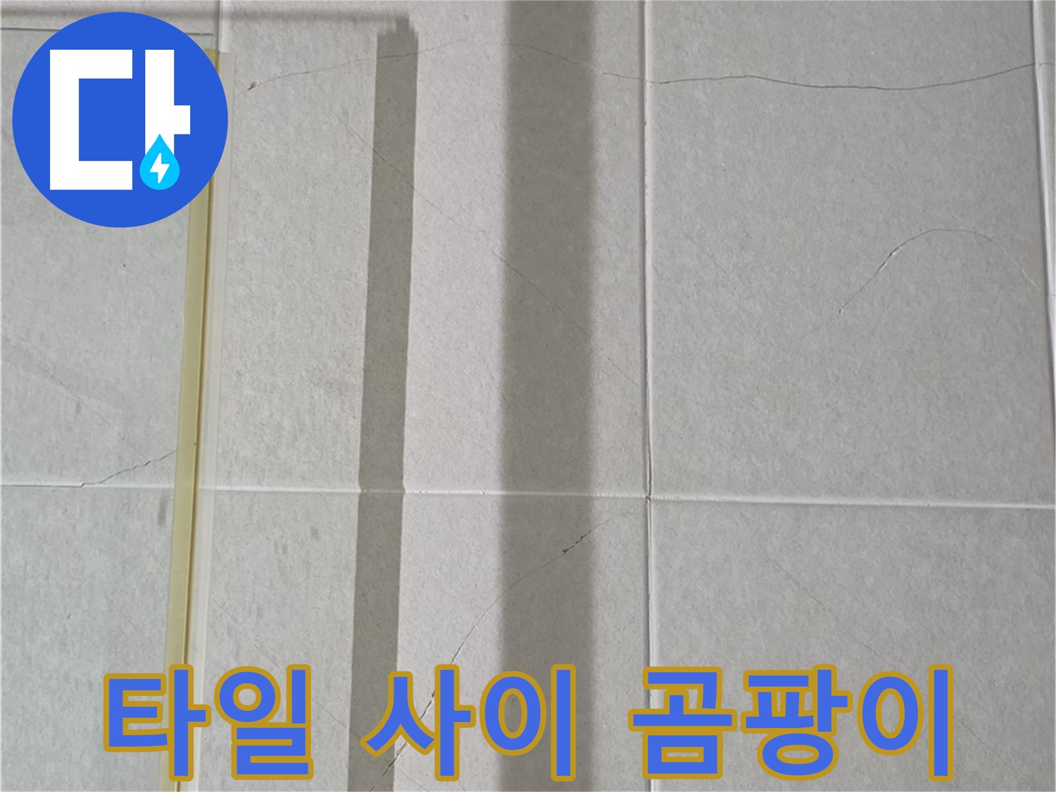 분당구 운중동 산운마을 샤워부스 - 벽면 타일 사이 곰팡이 발생으로 인한 누수