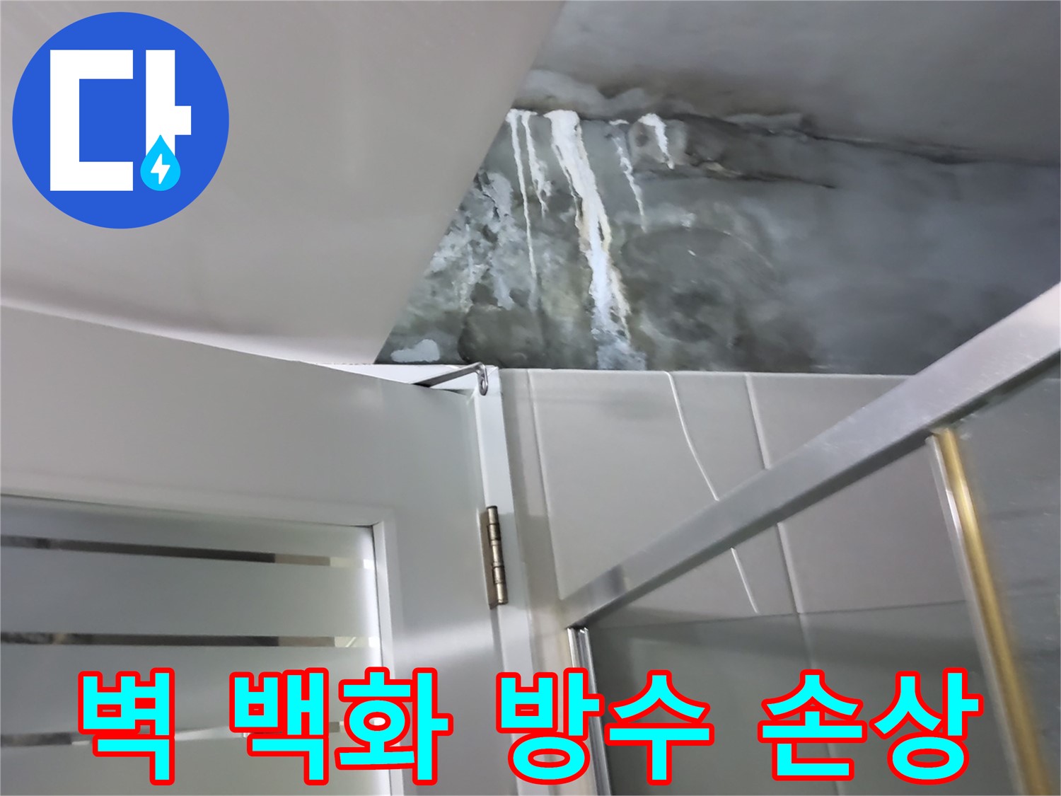 분당구 운중동 샤워부스 벽면 백화현상 및 방수층 손상 여부 점검 - 전문적인 진단