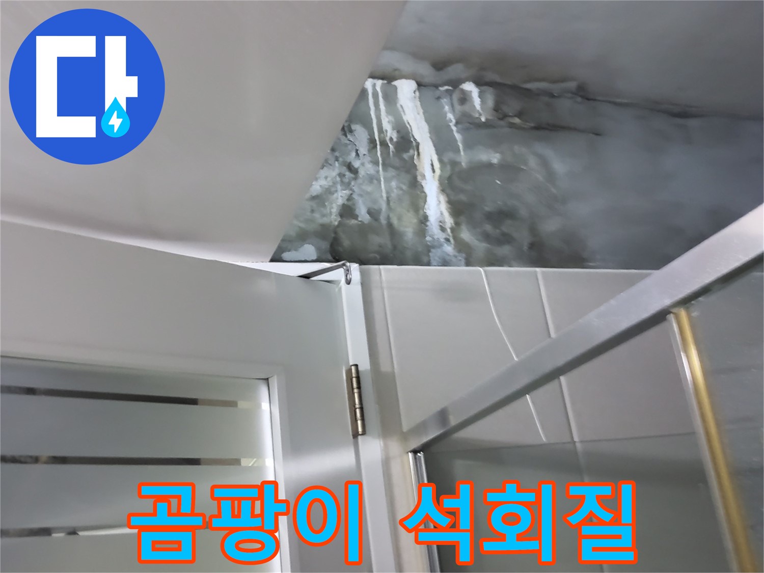 분당구 운중동 샤워부스 벽면의 곰팡이와 석회질 동시 발생 - 누수 원인 심층 분석