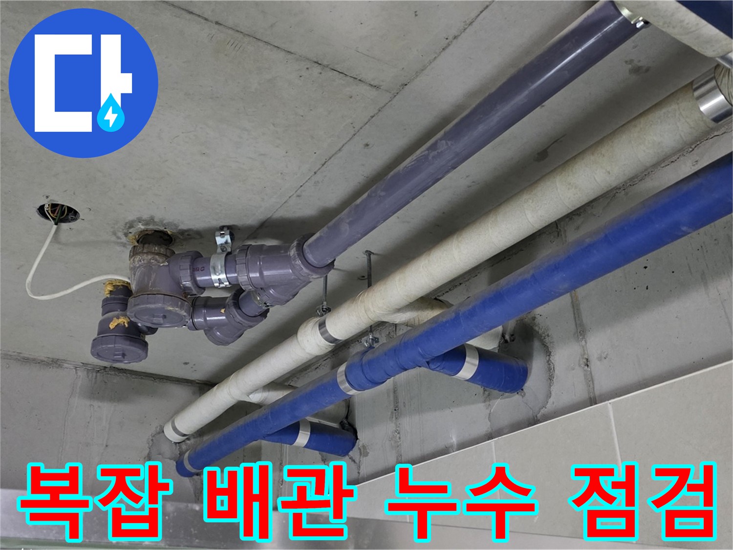 성남 분당 6단지 상가 복잡 배관 누수 점검 - 꼼꼼한 확인과 완벽한 해결