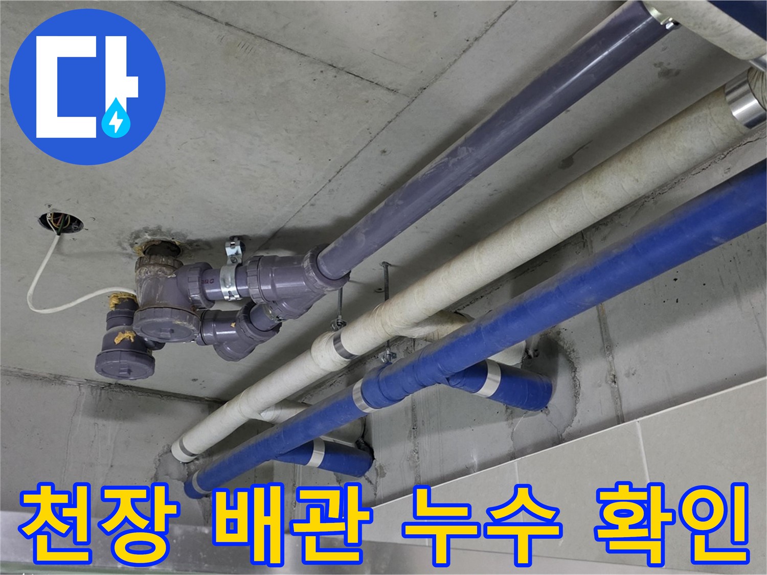 성남 분당 상가 천장 배관 누수 확인 - 꼼꼼한 점검과 확실한 보수