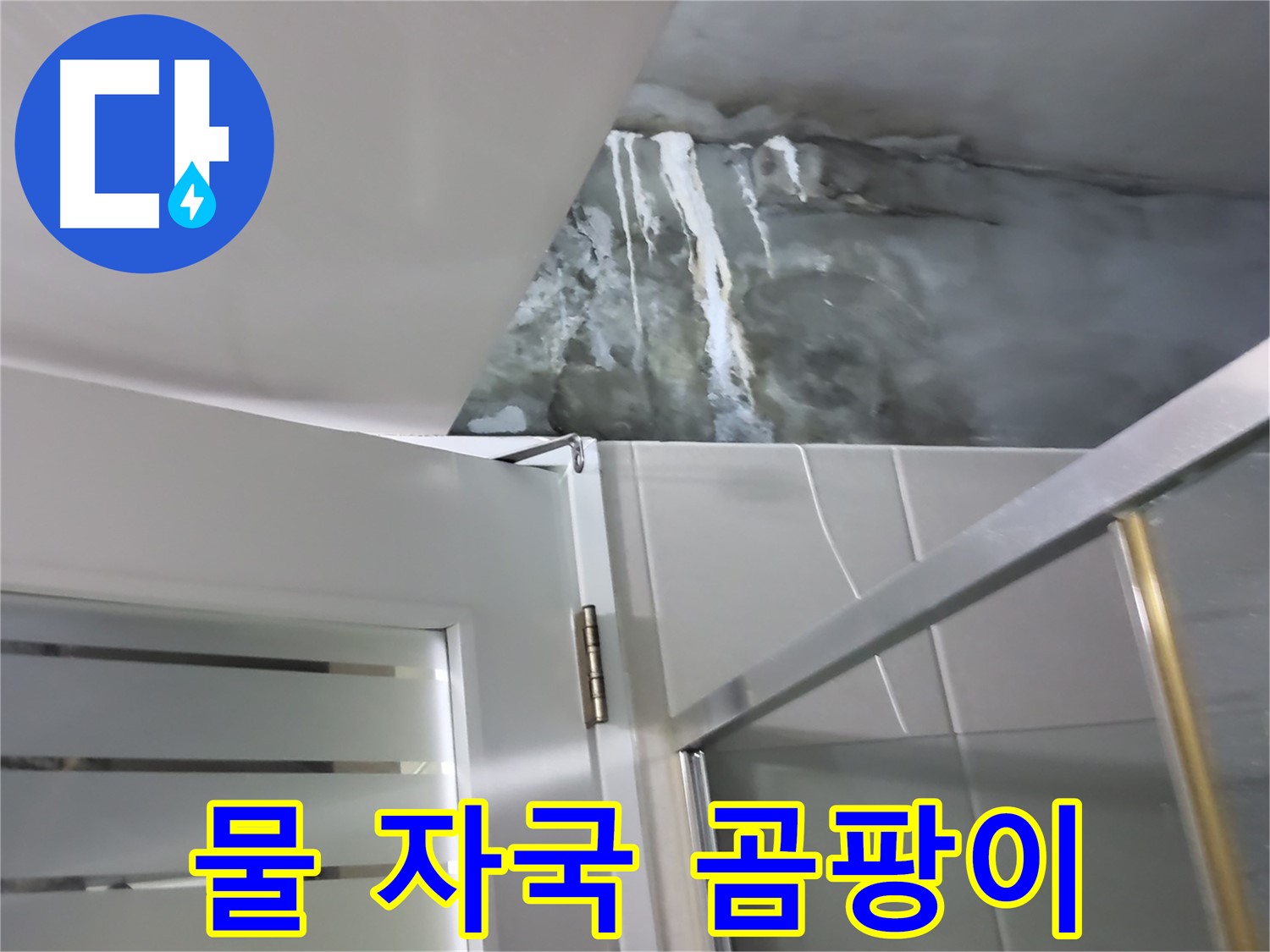 성남 분당 샤워부스 벽면의 심한 물 자국과 곰팡이 발생 - 누수 원인 꼼꼼히 점검