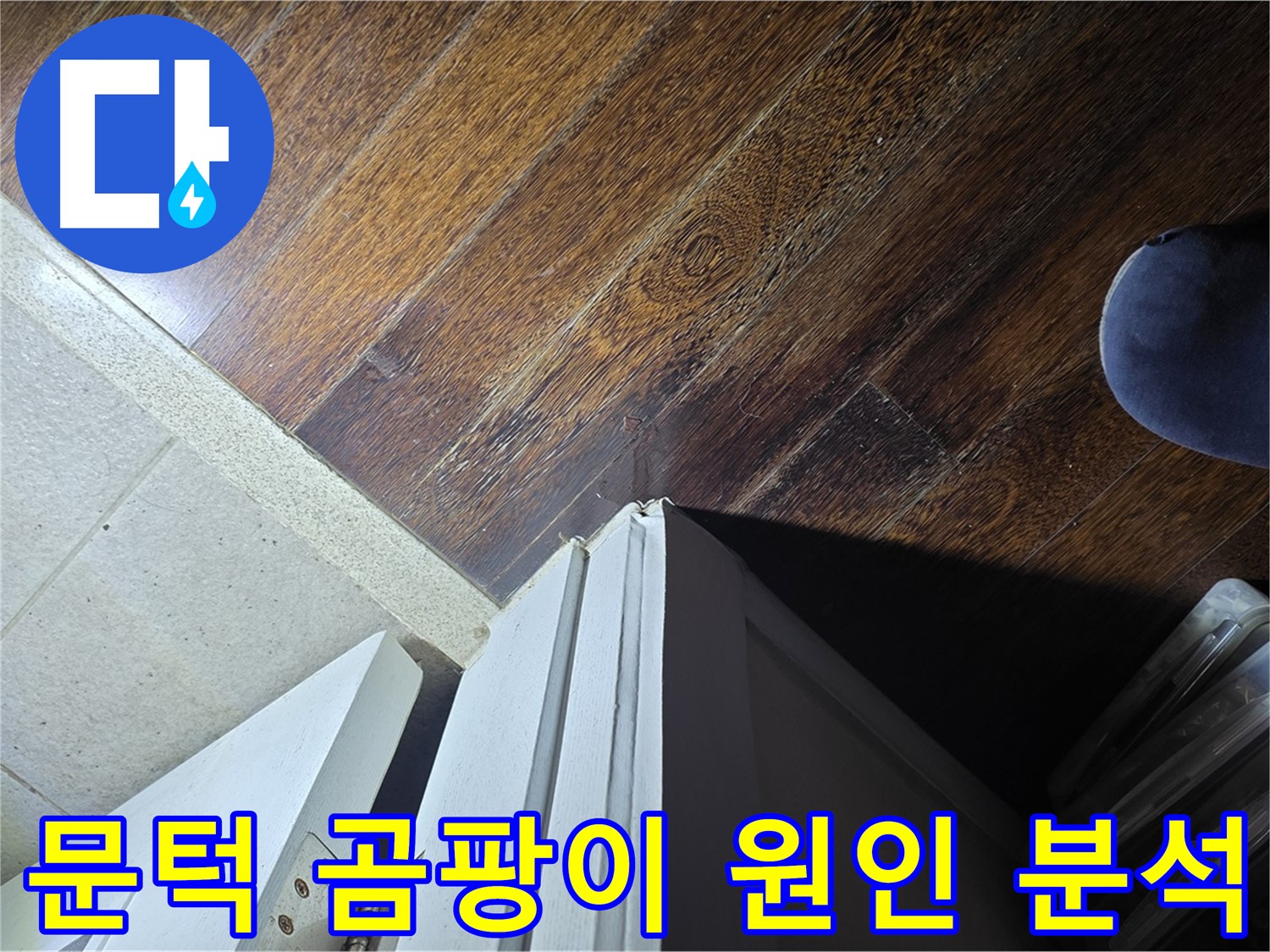 성남 분당 아파트 누수 - 운중동 산운마을 문턱 주변 곰팡이 발생 원인 집중 분석
