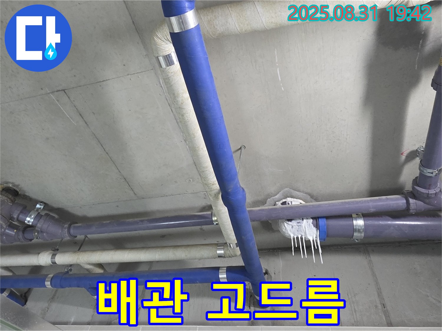 성남 분당 운중동 산운로 누수 - 배관에 고드름이 맺힌 긴급 상황