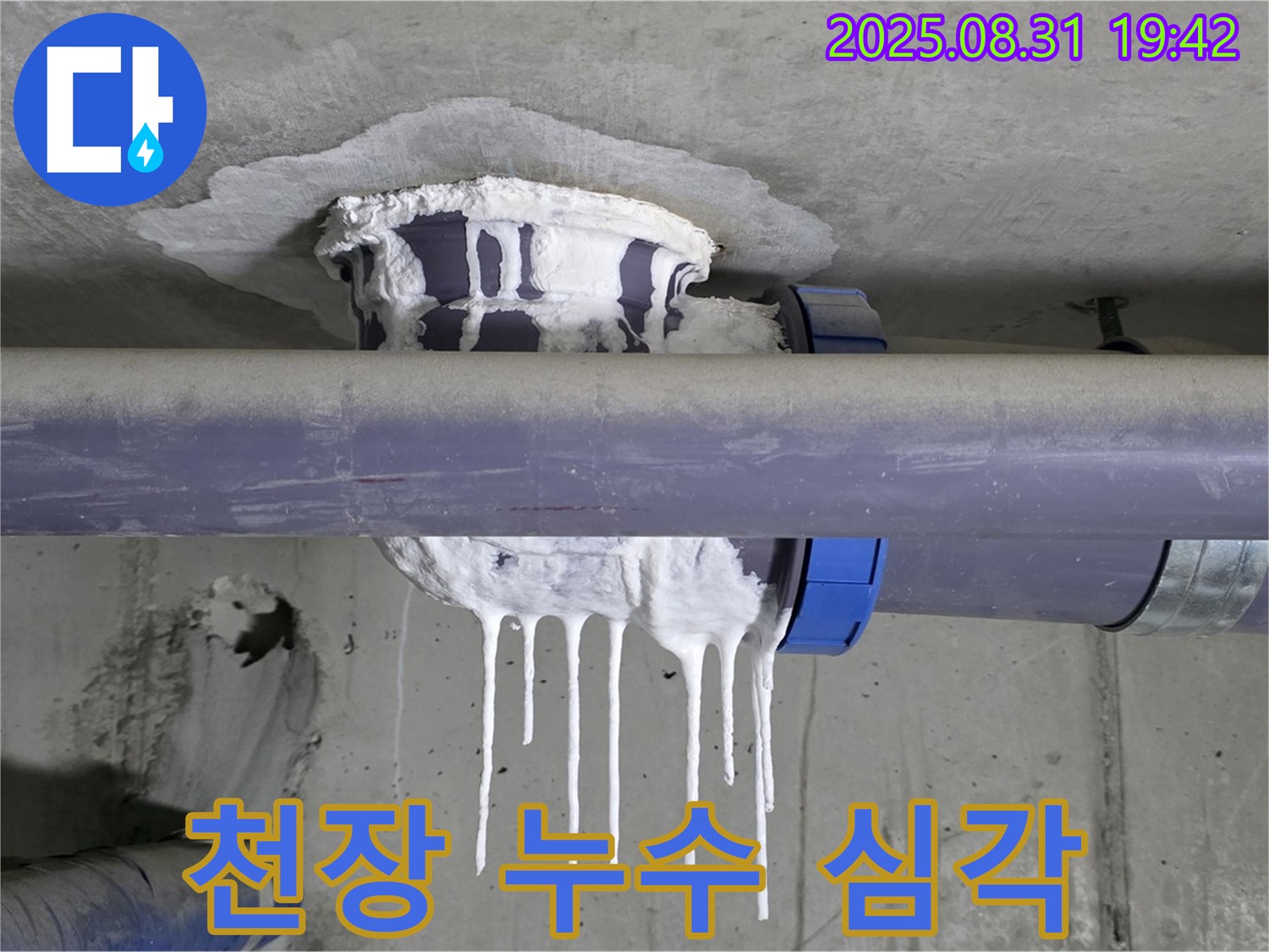 성남 분당 운중동 산운마을 배관 누수 - 천장에서 물이 심하게 떨어지는 긴급 상황