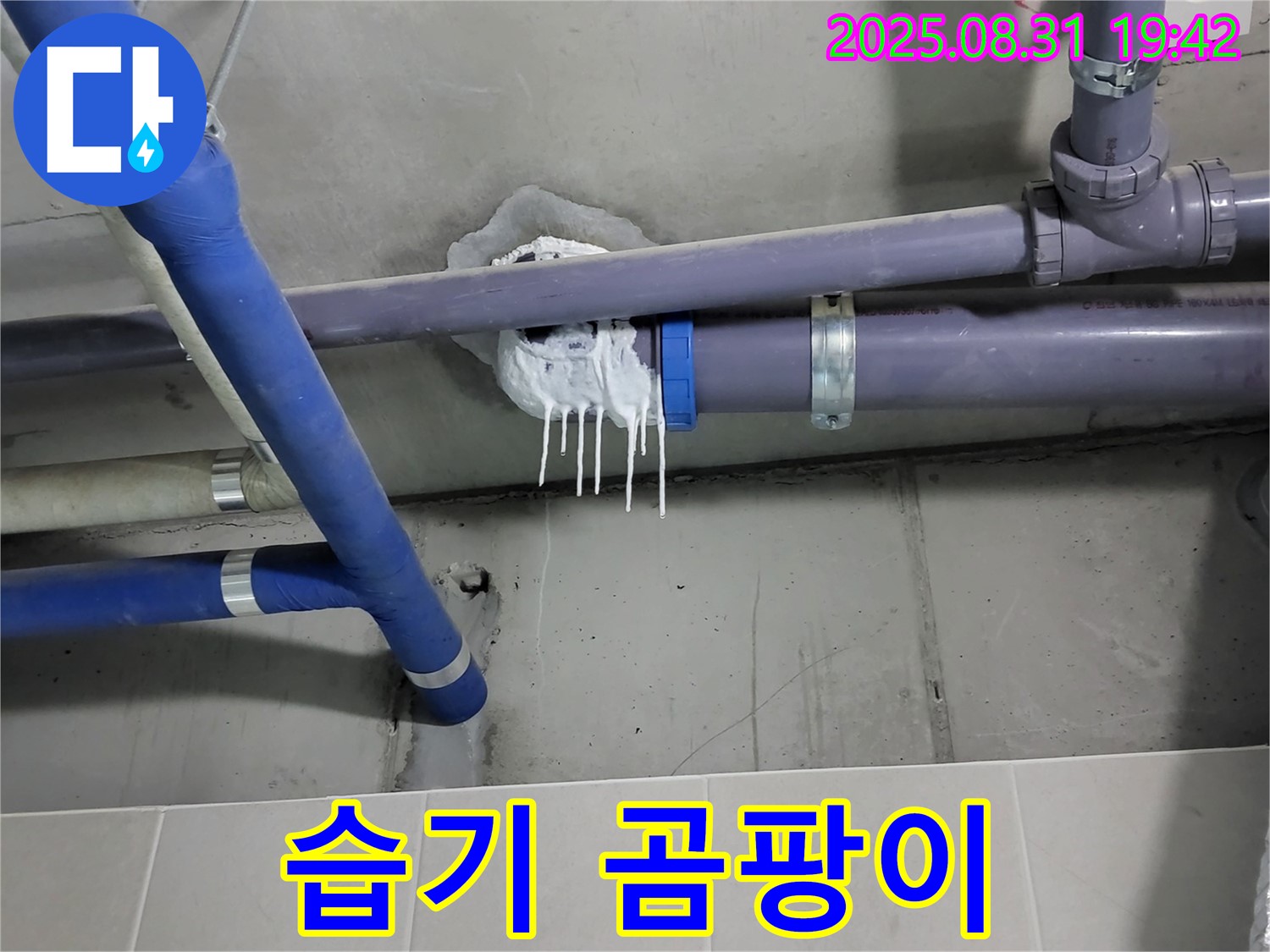 성남 분당 운중동 산운마을 욕실 누수 - 배관 주변 습기 및 곰팡이 발생 확인