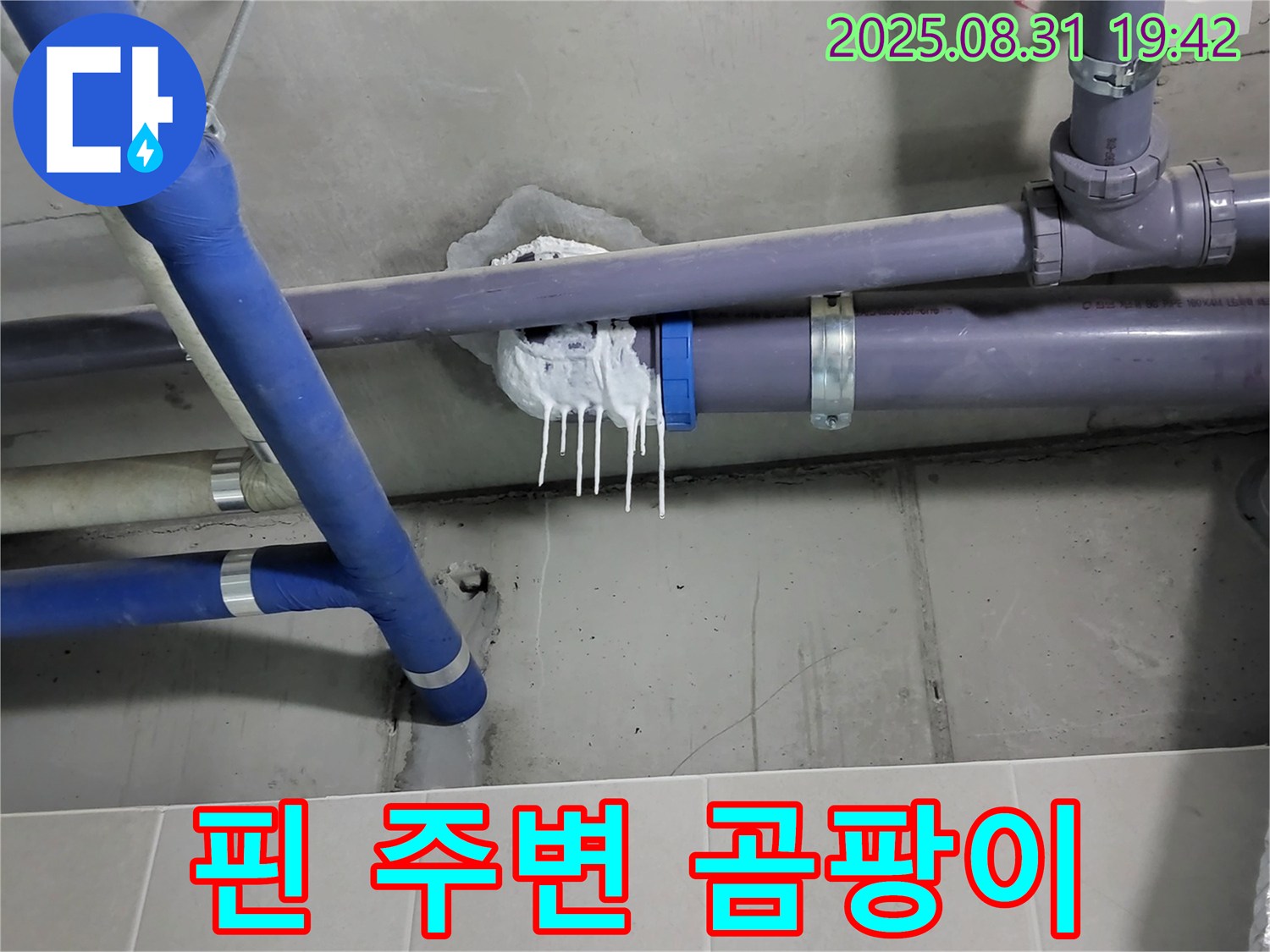 성남 분당 운중동 산운마을 욕실 누수 - 핀 시공 주변 곰팡이 발생 확인