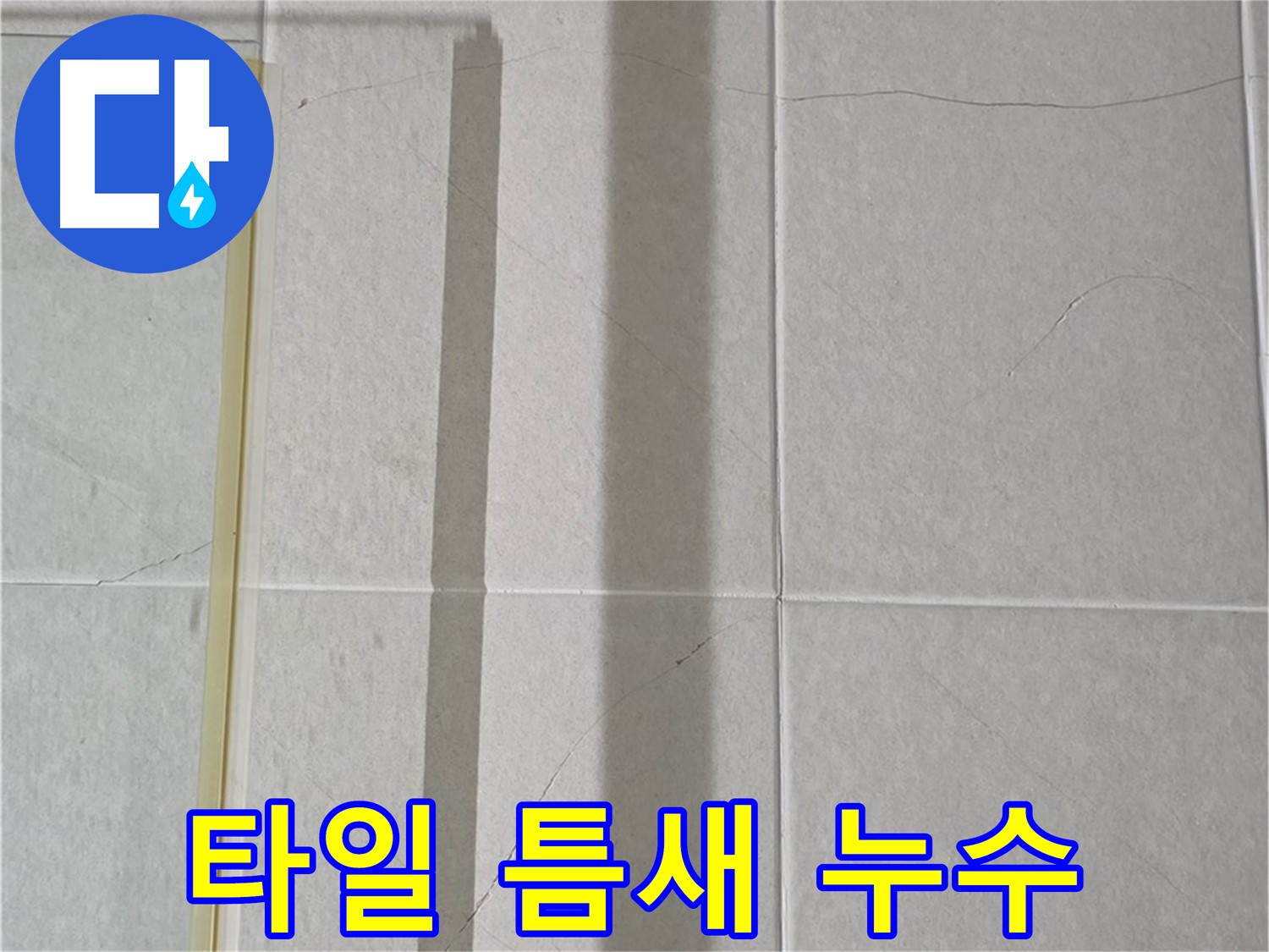 성남시 분당 샤워기 누수 - 벽 타일 틈새로 물 스며듦 주의