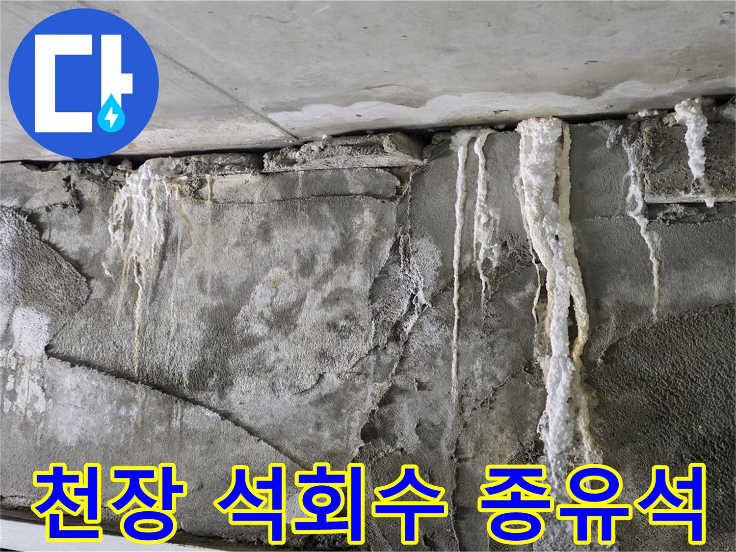 운중동 누수 - 천장 석회수 종유석, 건물 붕괴 직전