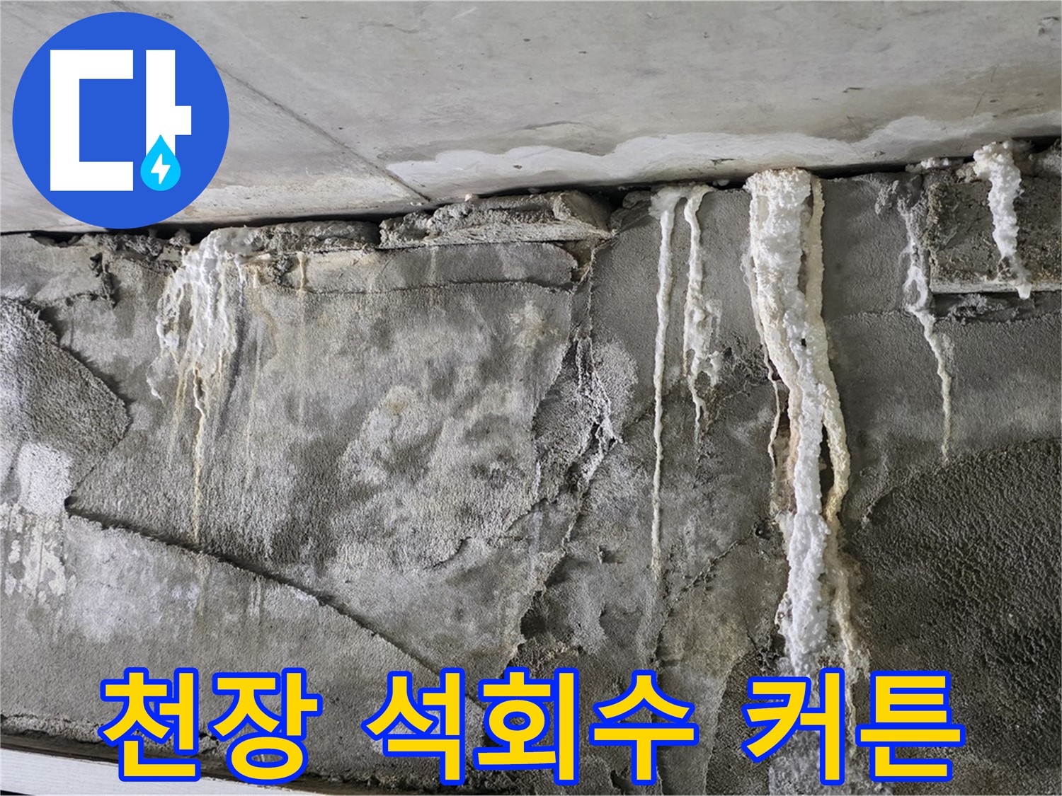 운중동 누수 - 천장 석회수 커튼, 붕괴 직전
