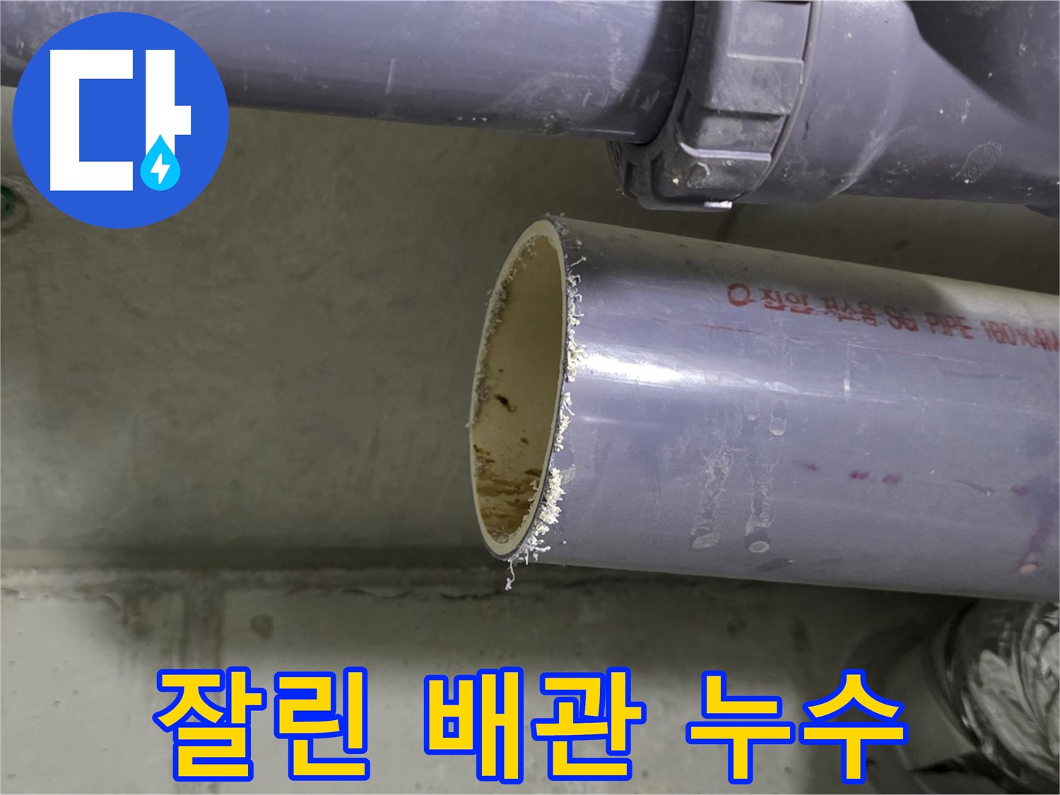 분당구 운중동 누수 현장 - 잘린 배관 단면에서 누수의 흔적을 확인하는 모습