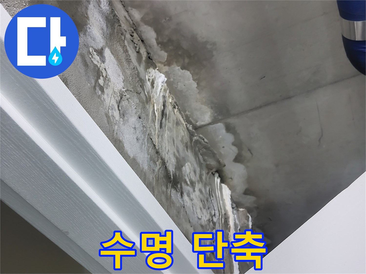 운중동 산운로 - 콘크리트 천장 누수 - 건물 수명 단축 - 긴급 점검