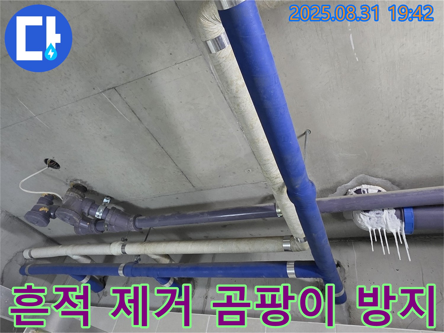 운중동 산운마을 6단지 아파트 천장 누수 - 누수 흔적을 깨끗하게 제거하고 곰팡이 방지 시공까지!