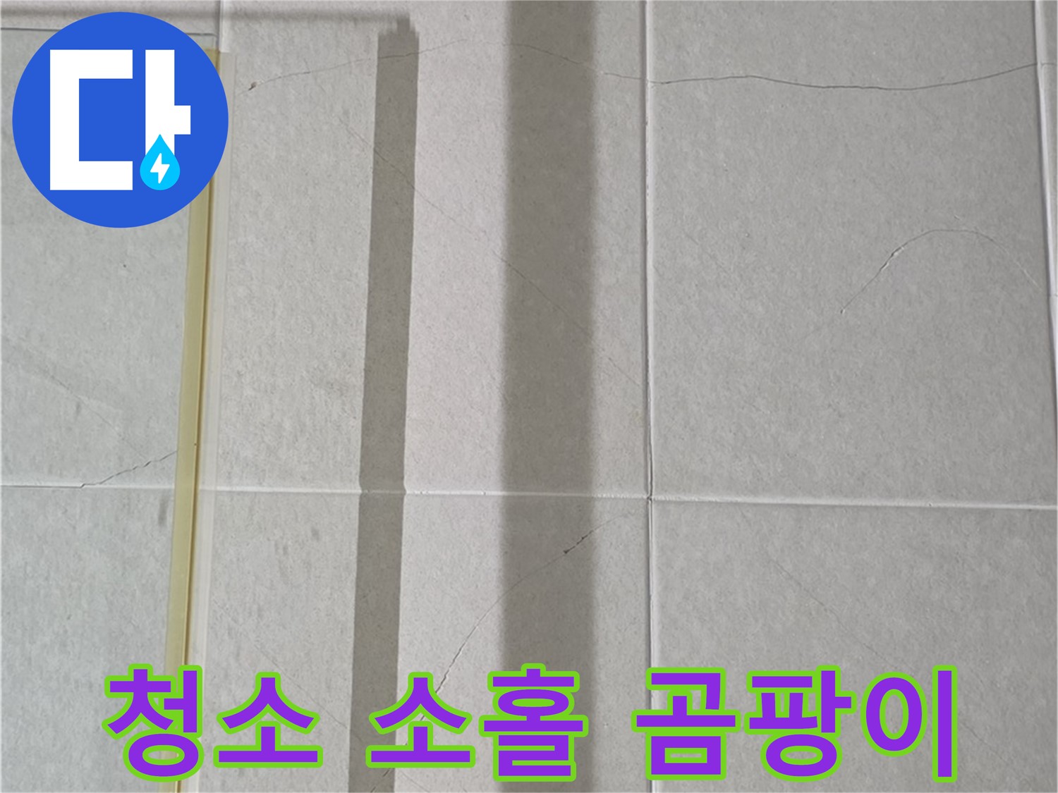 운중동 산운마을 샤워부스 - 벽면 타일 틈새 누수, 욕실 청소 소홀로 인한 곰팡이 서식