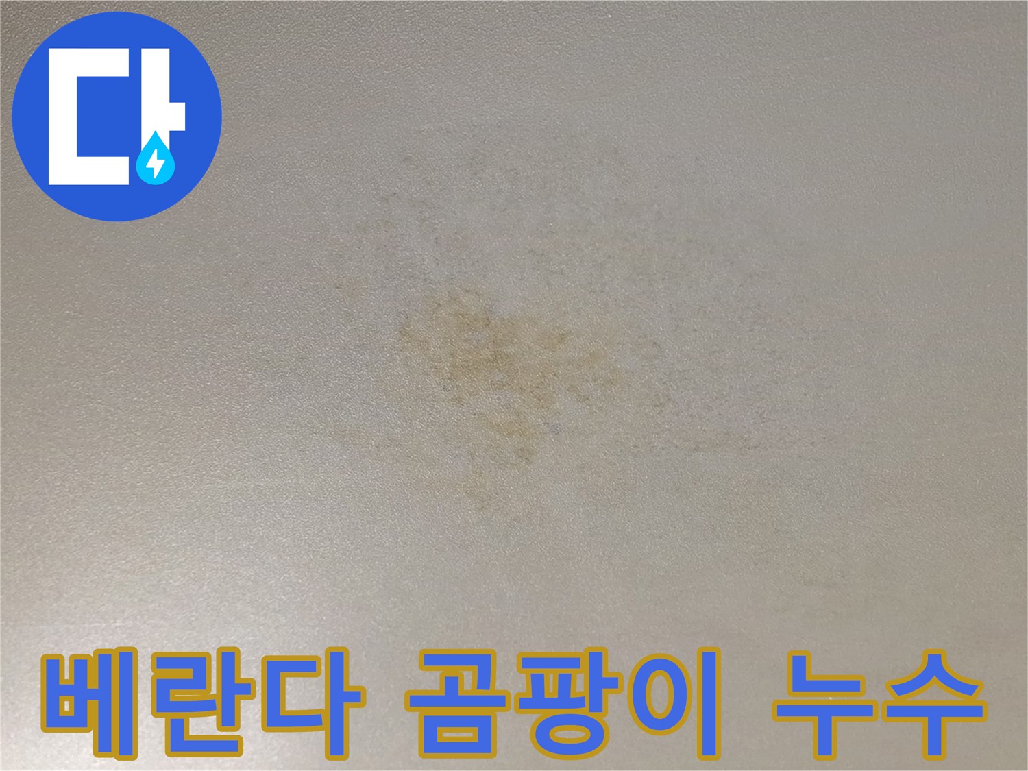곰팡이 심한 베란다 - 결로 및 누수 문제 해결 현장