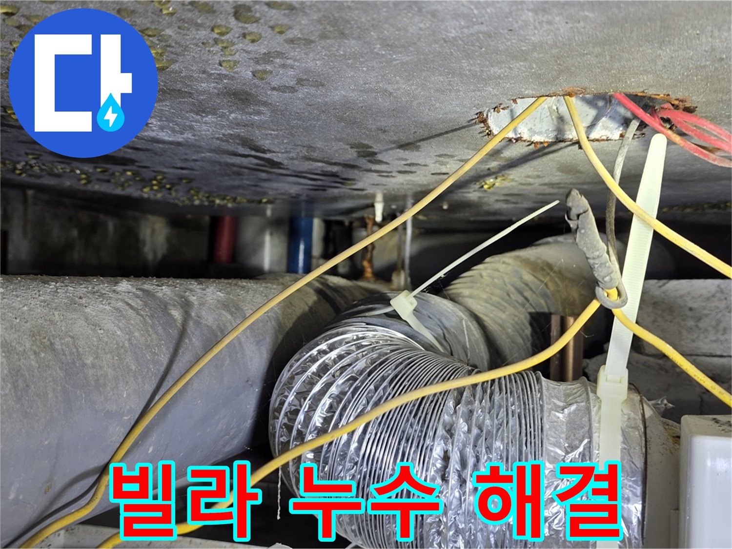 광진구 능동 빌라 천장 누수 해결 - 누수 원인 탐색부터 보수 완료까지 상세 과정
