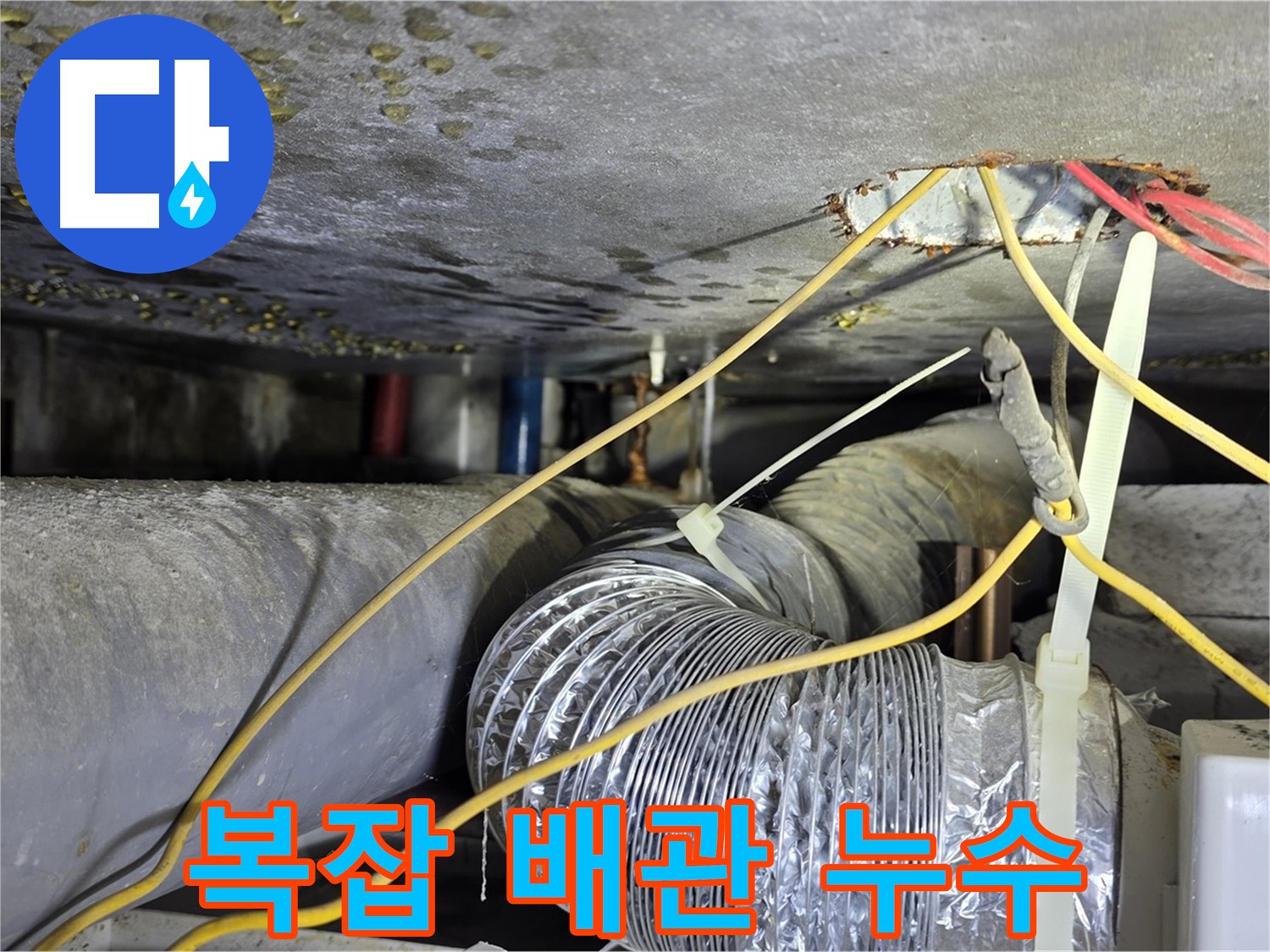 광진구 능동로 - 복잡한 배관 속 숨은 누수 지점 정확히 찾아내는 과정