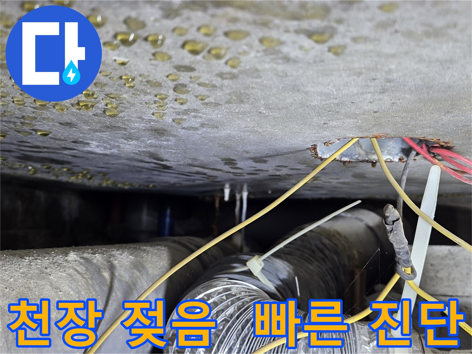 능동 누수 - 천장 석고보드 젖음, 빠른 진단과 보수로 해결