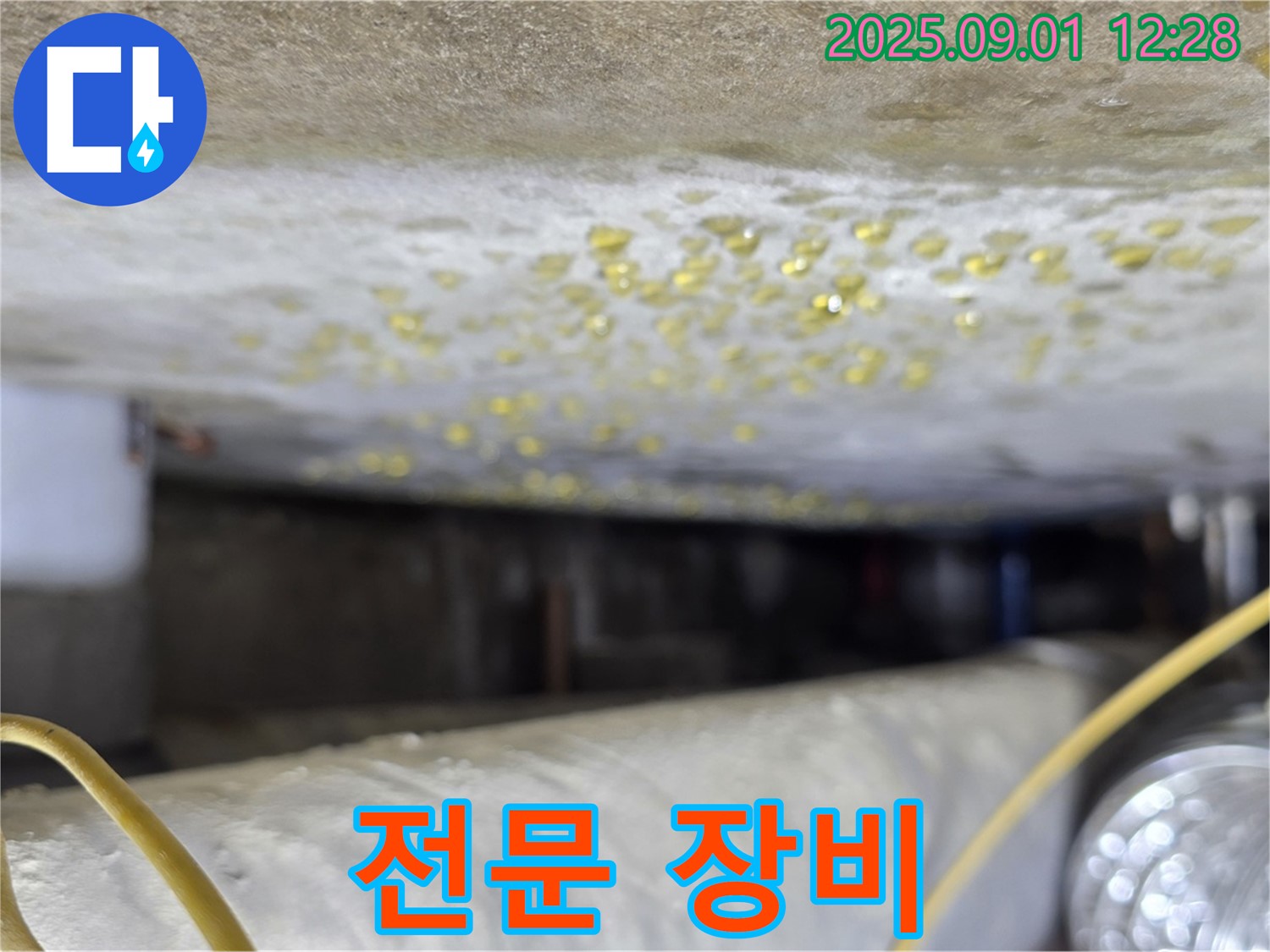능동 아성빌라트 천장 누수 - 누수 탐지 전문 장비 완비
